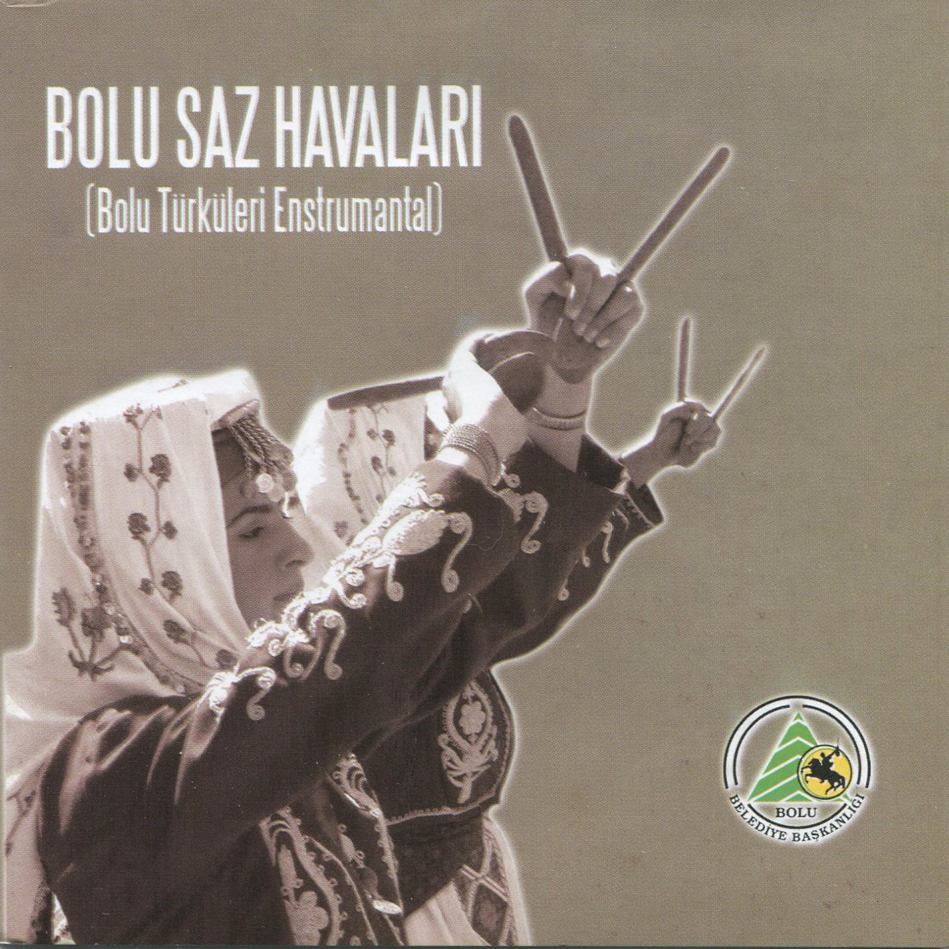 Постер альбома Bolu Saz Havaları