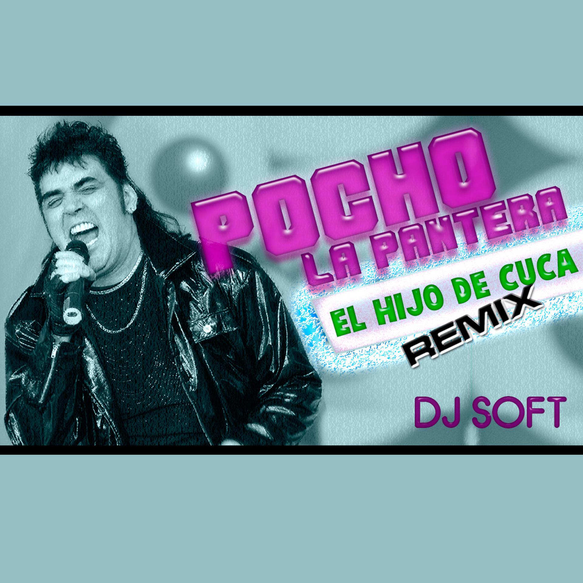 Постер альбома El Hijo de Cuca (Remix)