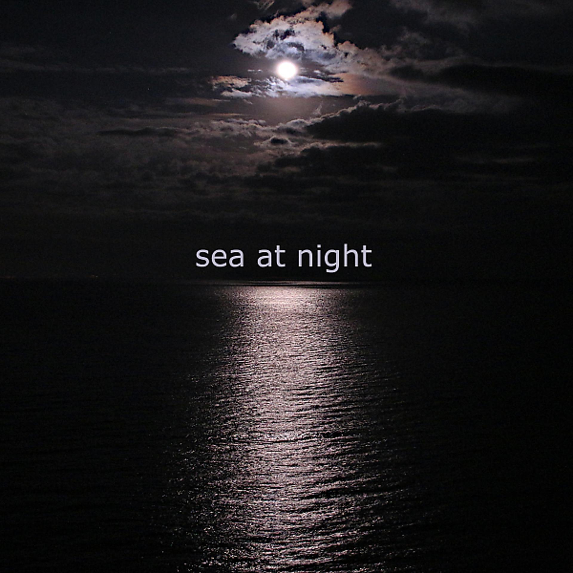 Постер альбома Sea at Night (Fulvio Chiara) (feat. Fulvio Chiara)