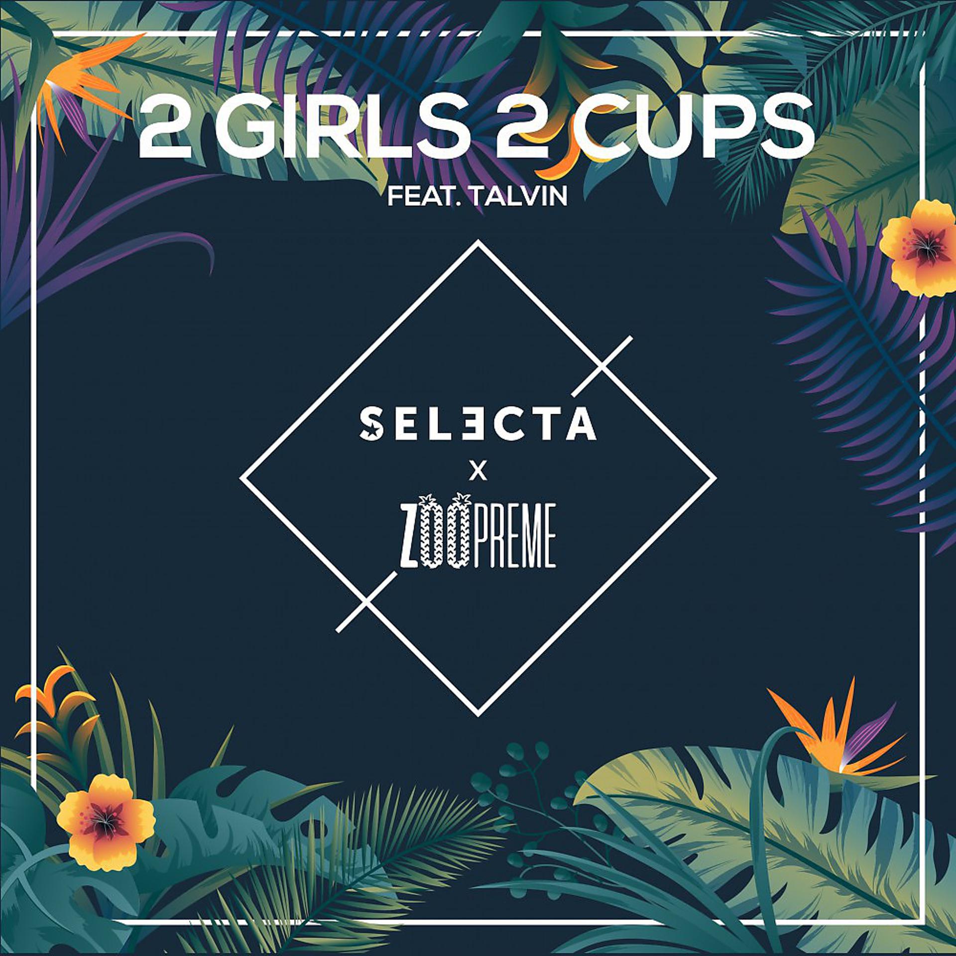 Постер альбома 2 Girls 2 Cups