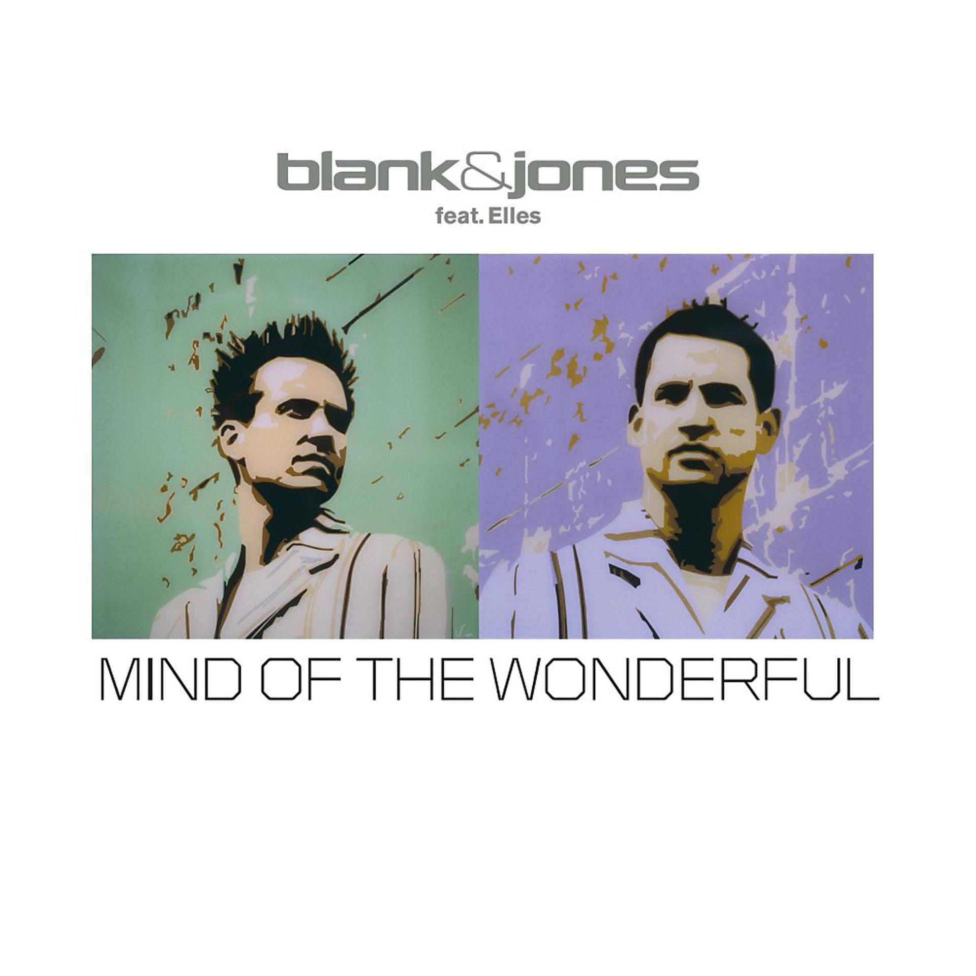 Постер альбома Mind of the Wonderful (All Mixes)
