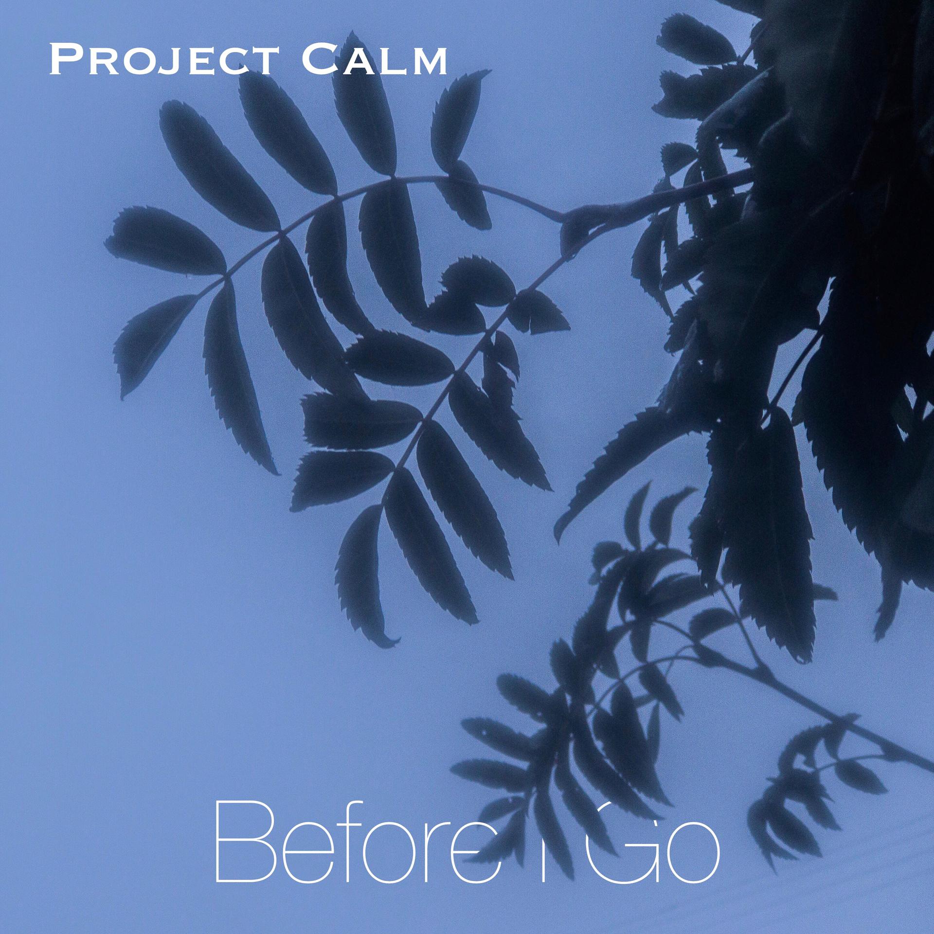 Постер к треку Project Calm - Before I Go