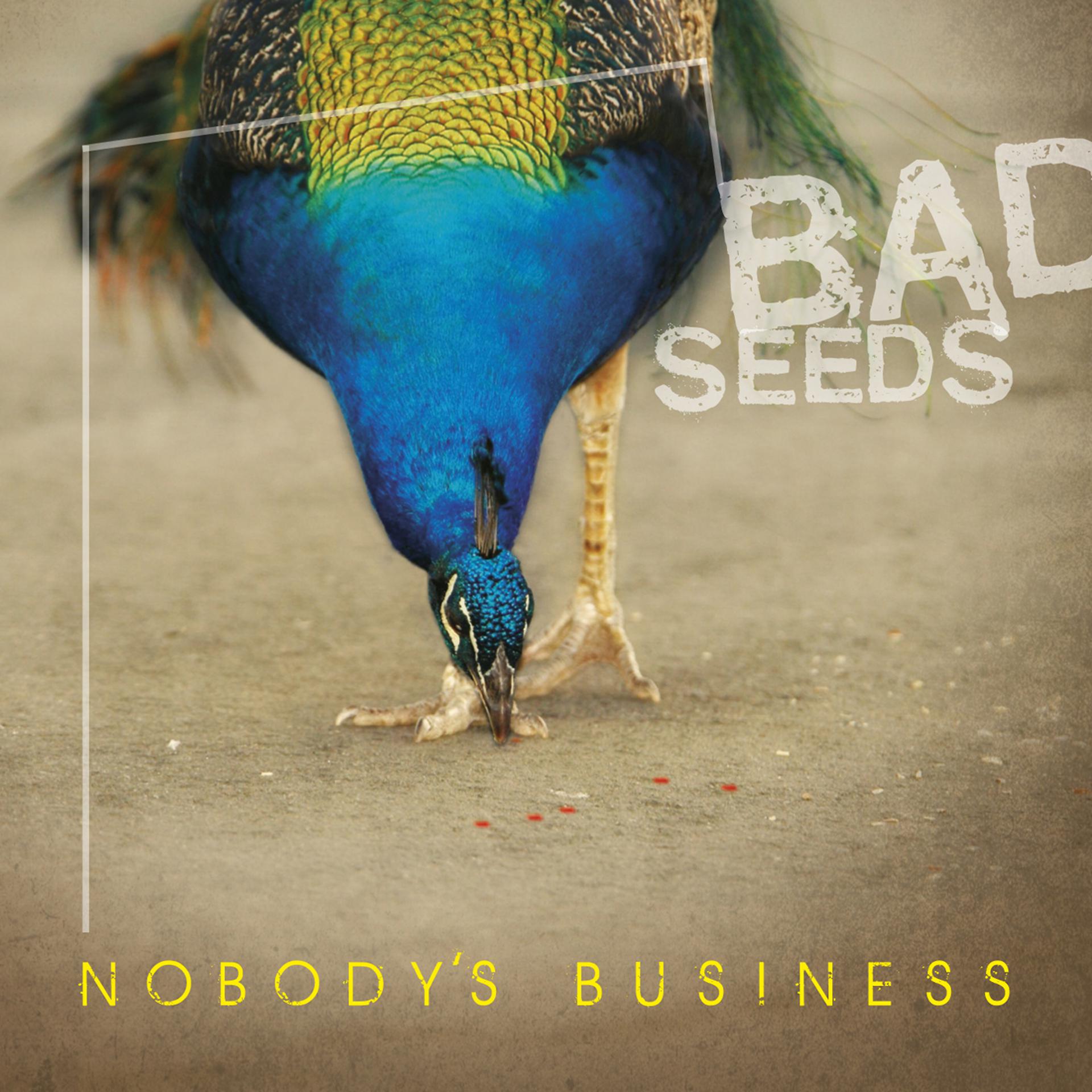 Постер альбома Bad Seeds