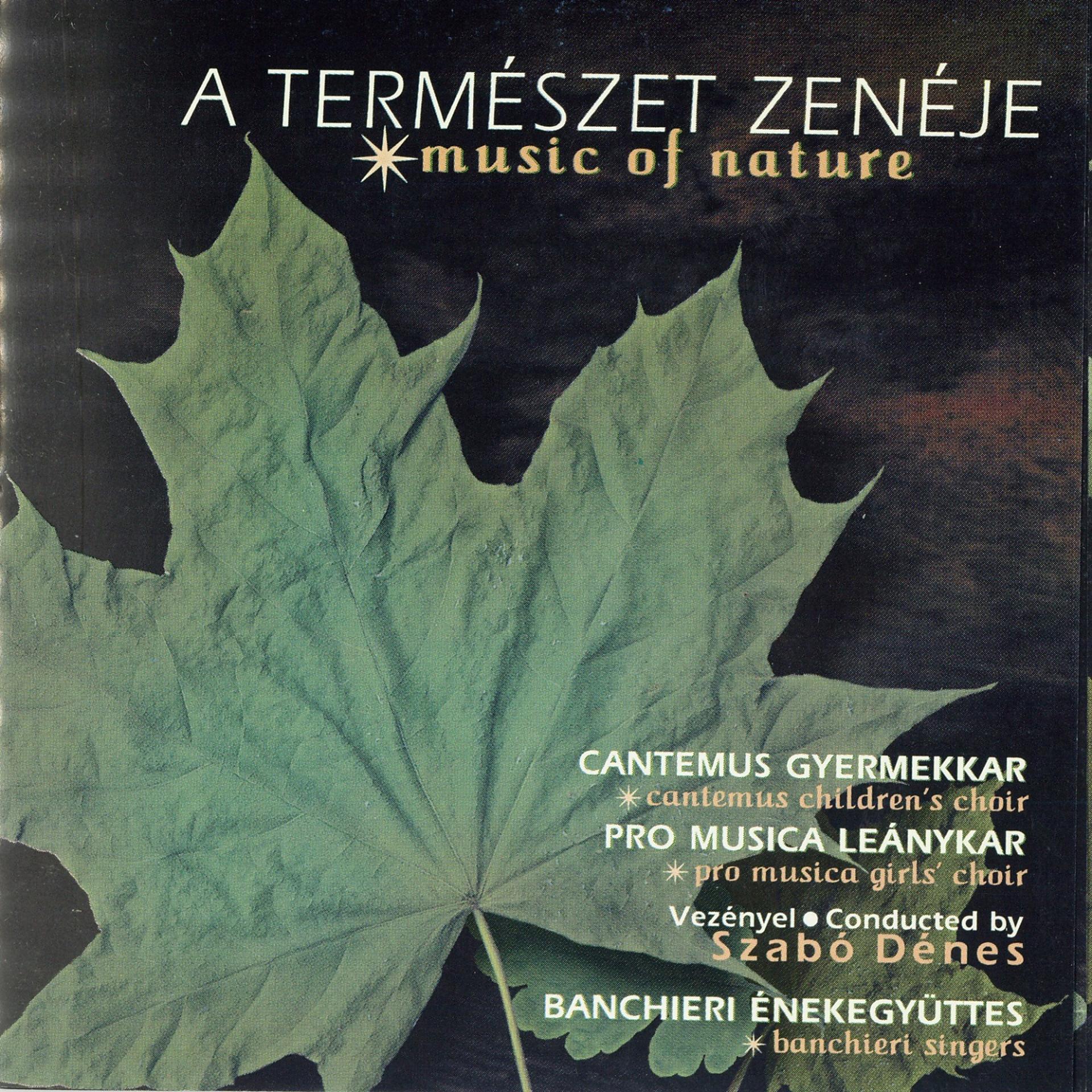 Постер альбома Music of Nature