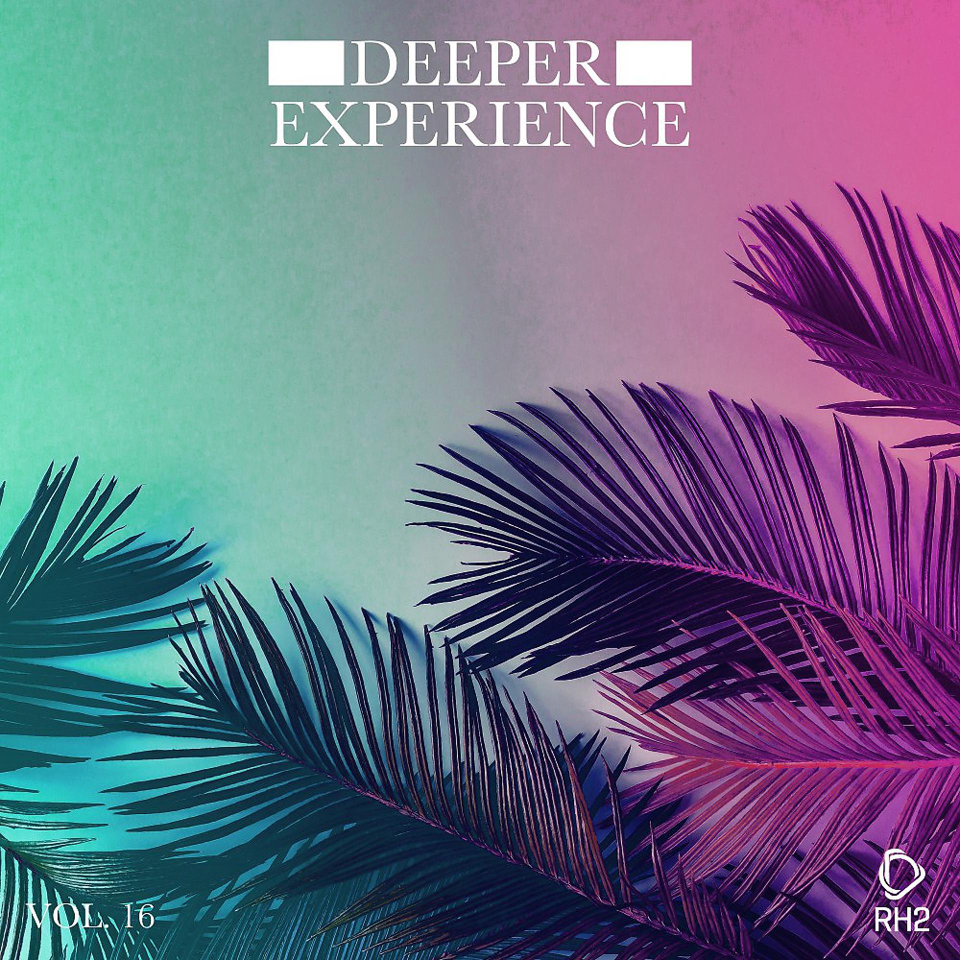Постер альбома Deeper Experience, Vol. 16