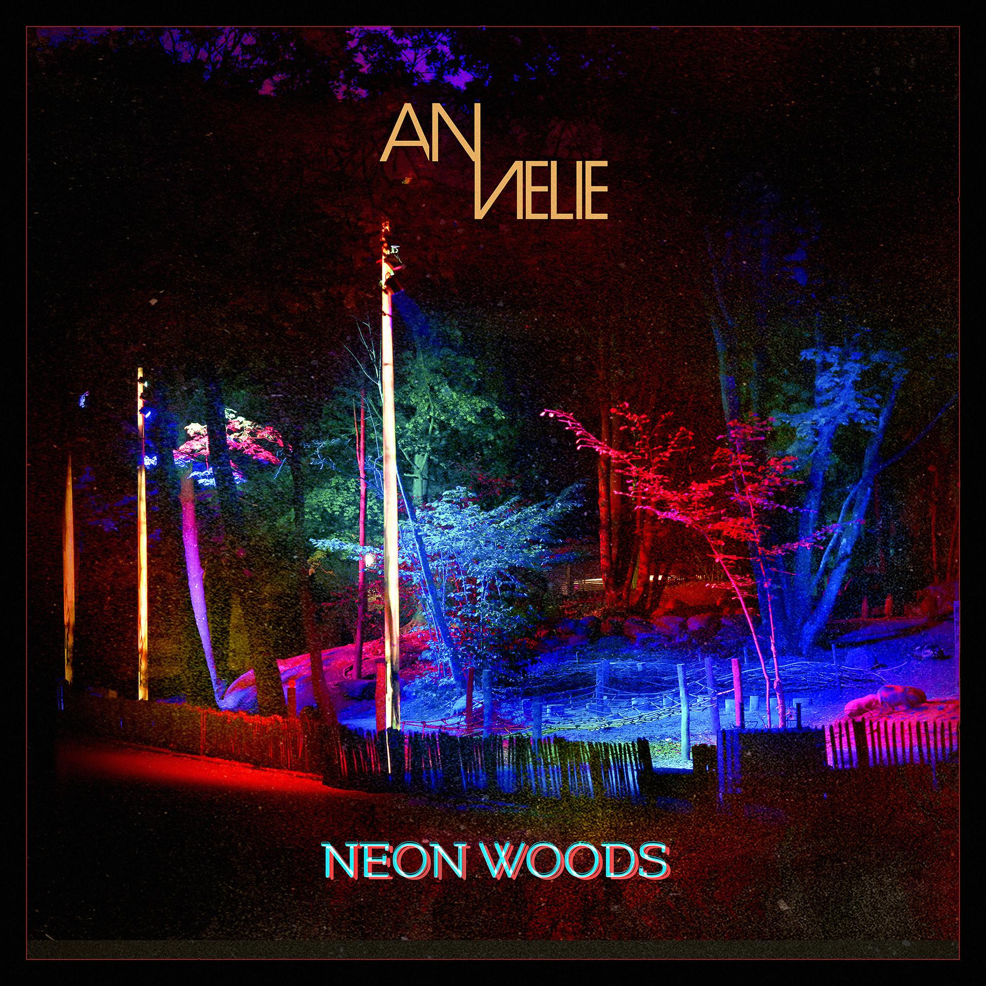 Постер альбома Neon Woods