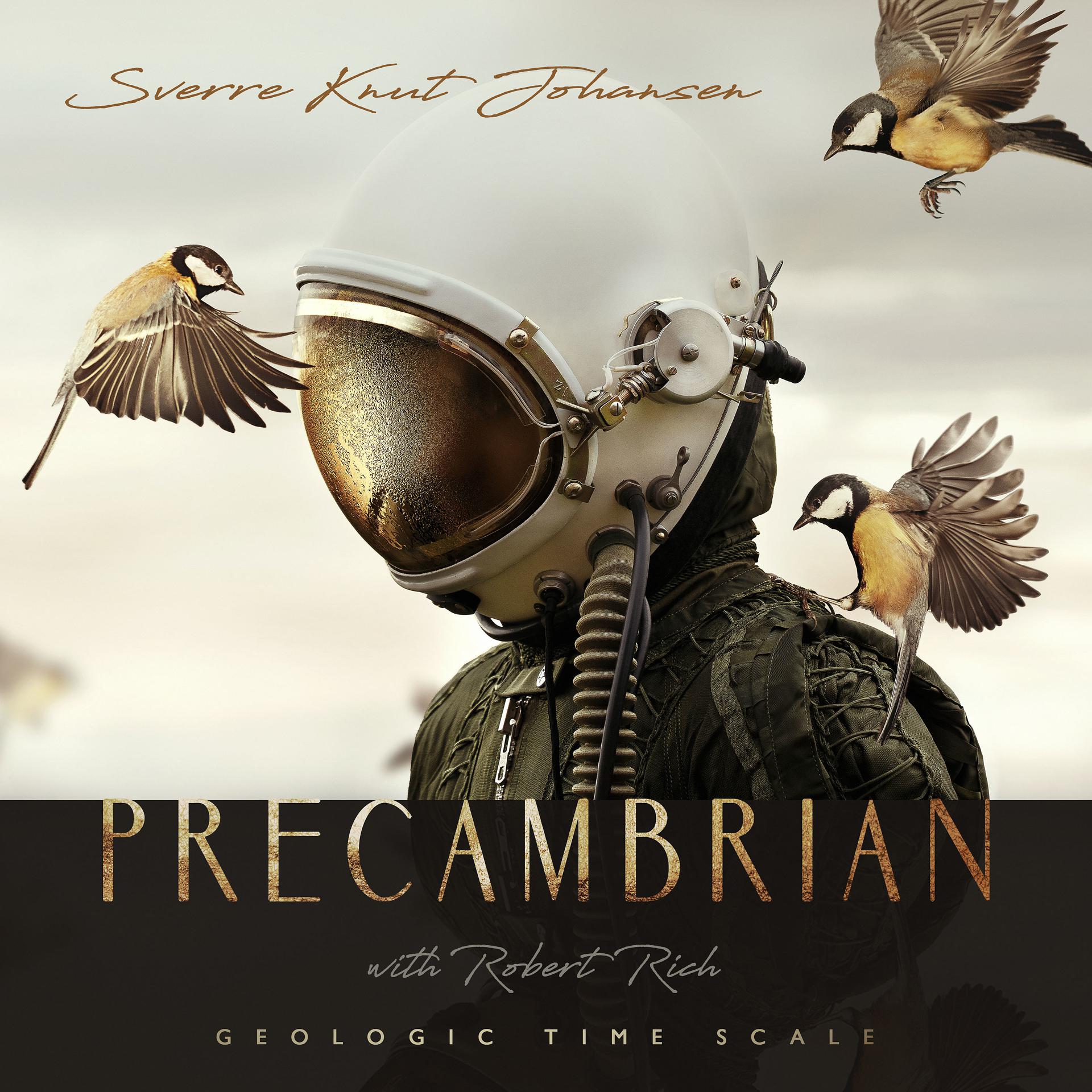 Постер альбома Precambrian