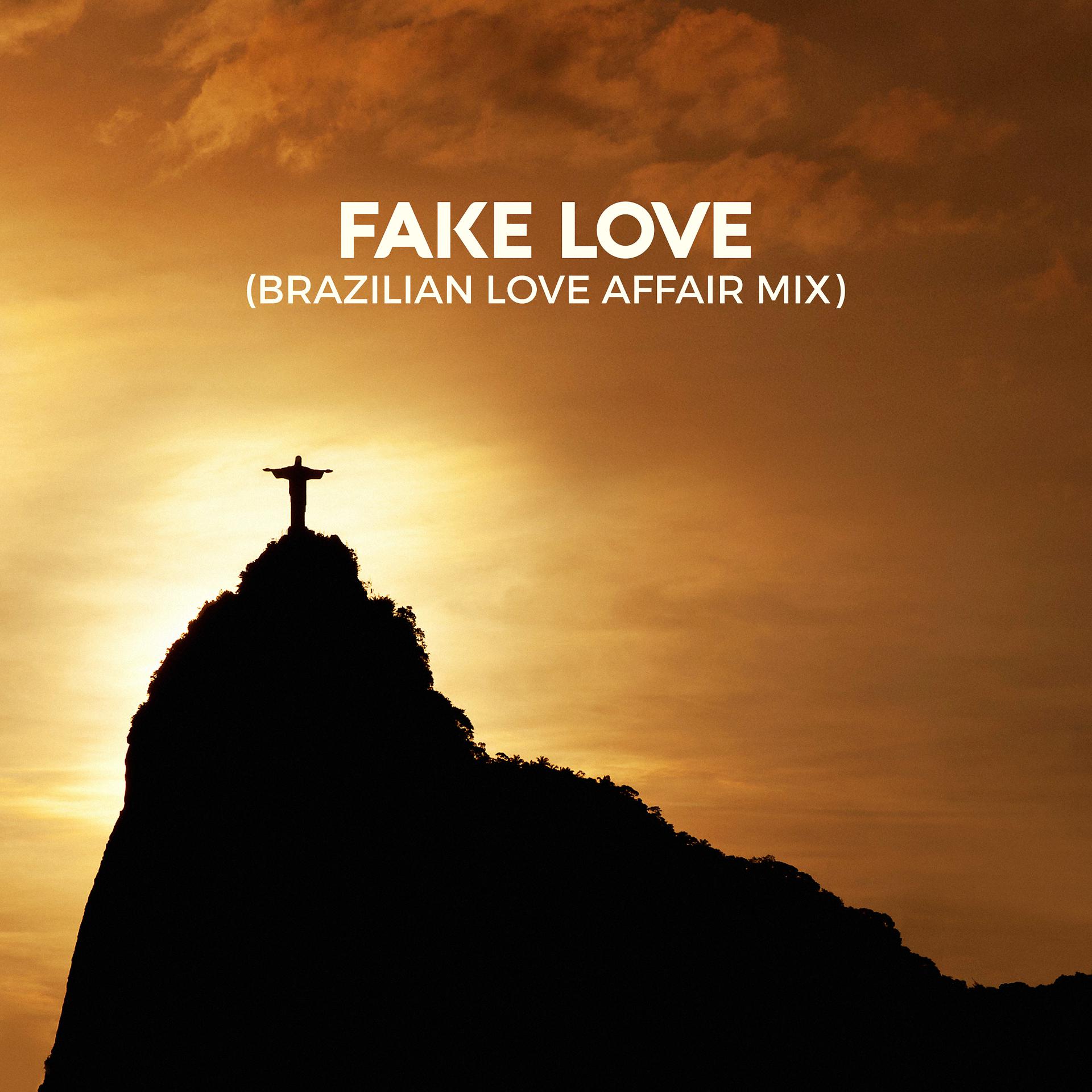Постер альбома Fake Love (Brazilian Love Affair Mix)