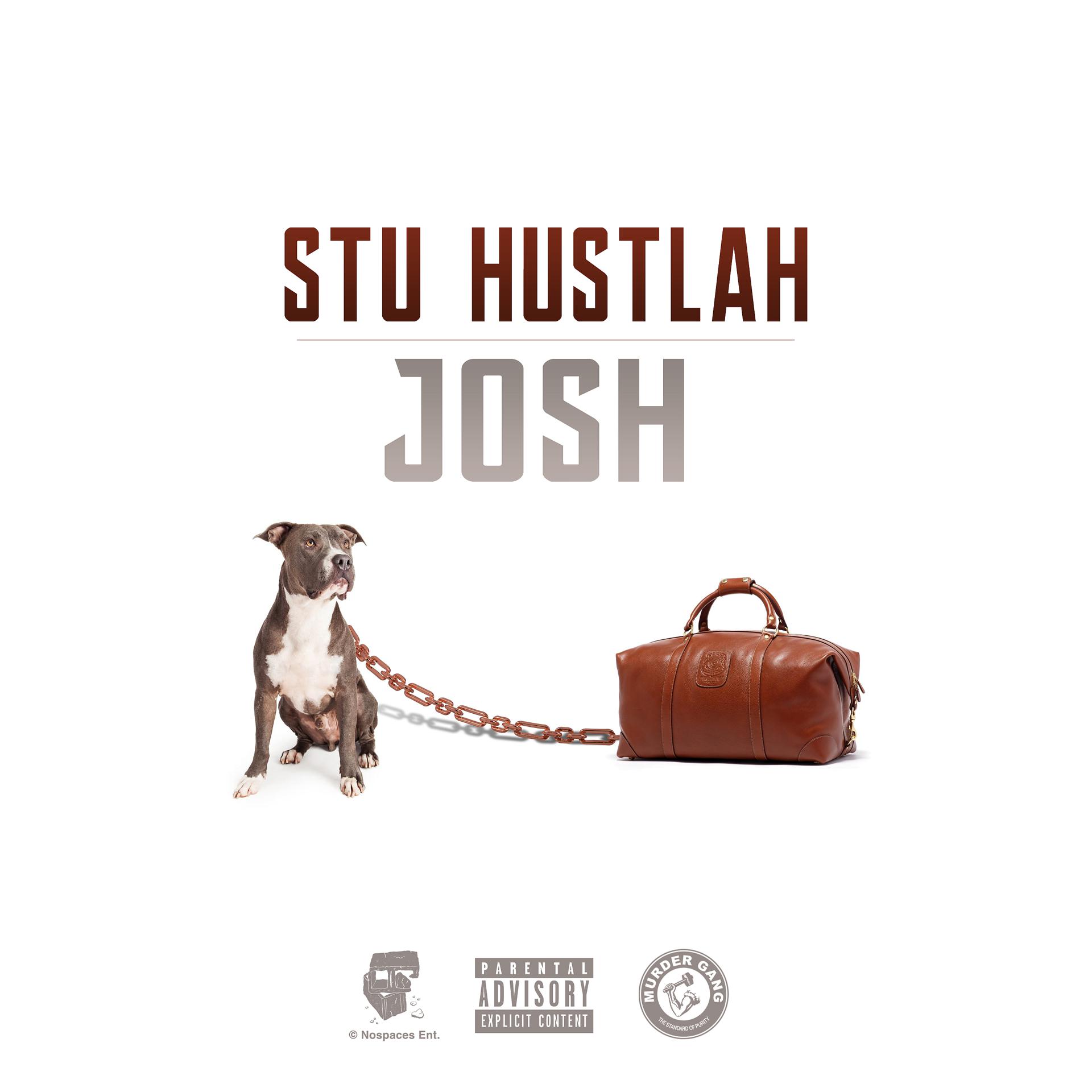 Постер альбома Josh