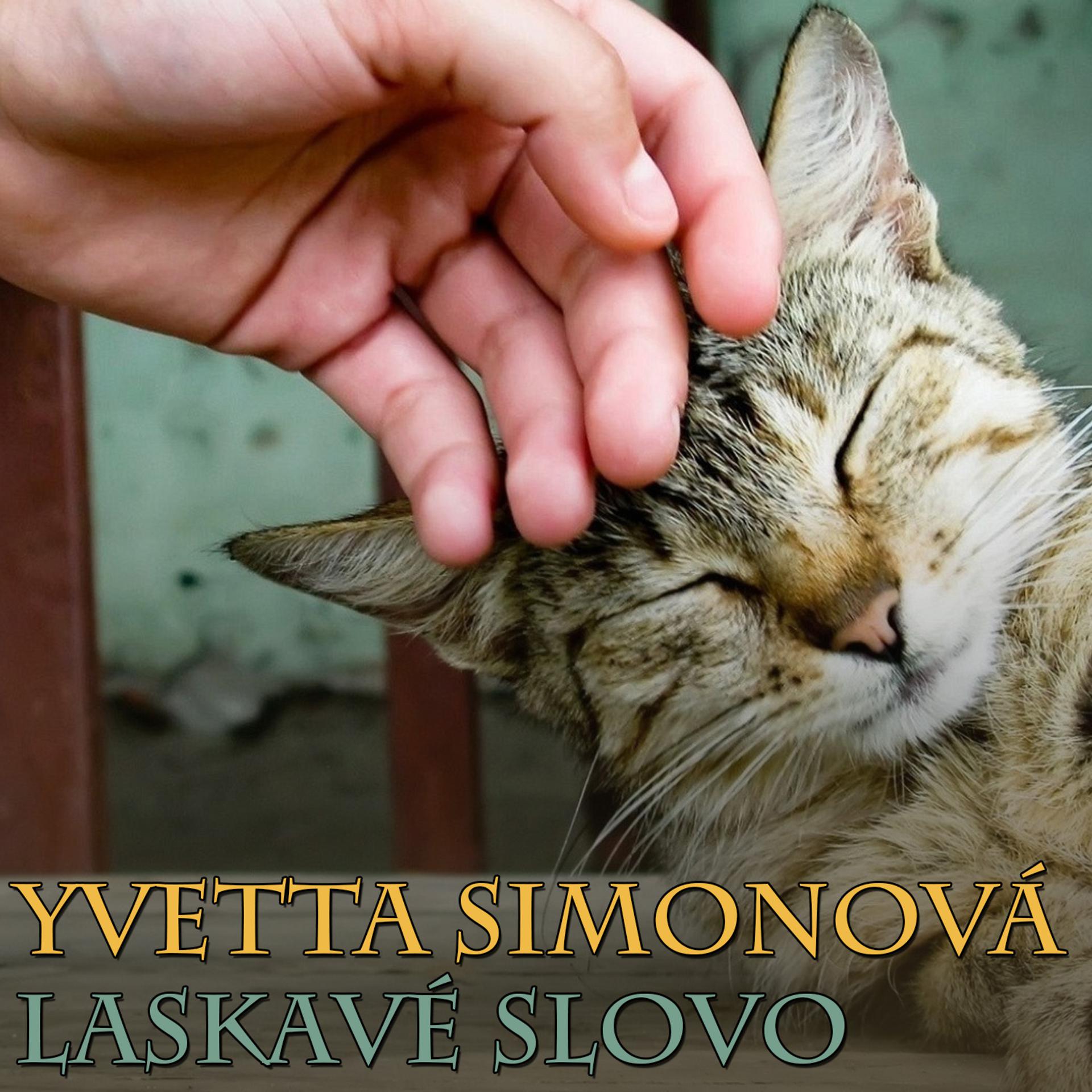 Постер альбома Laskavé Slovo
