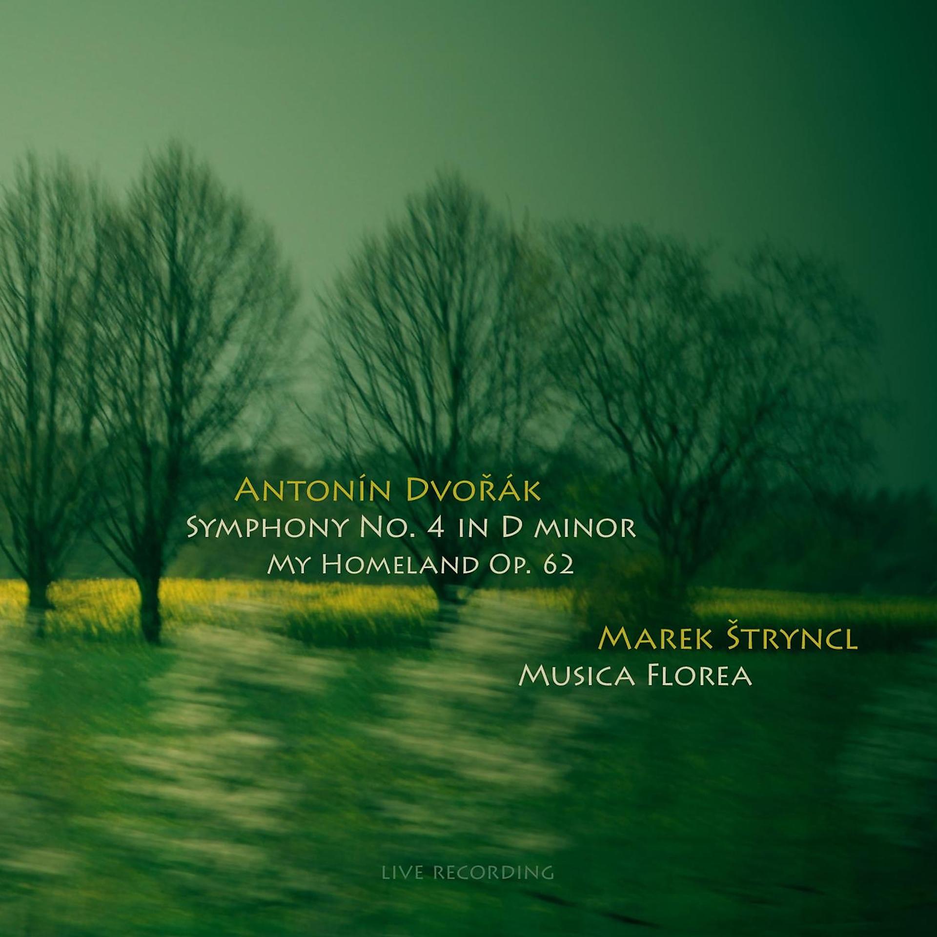 Постер альбома Dvořák: Symphony No. 4