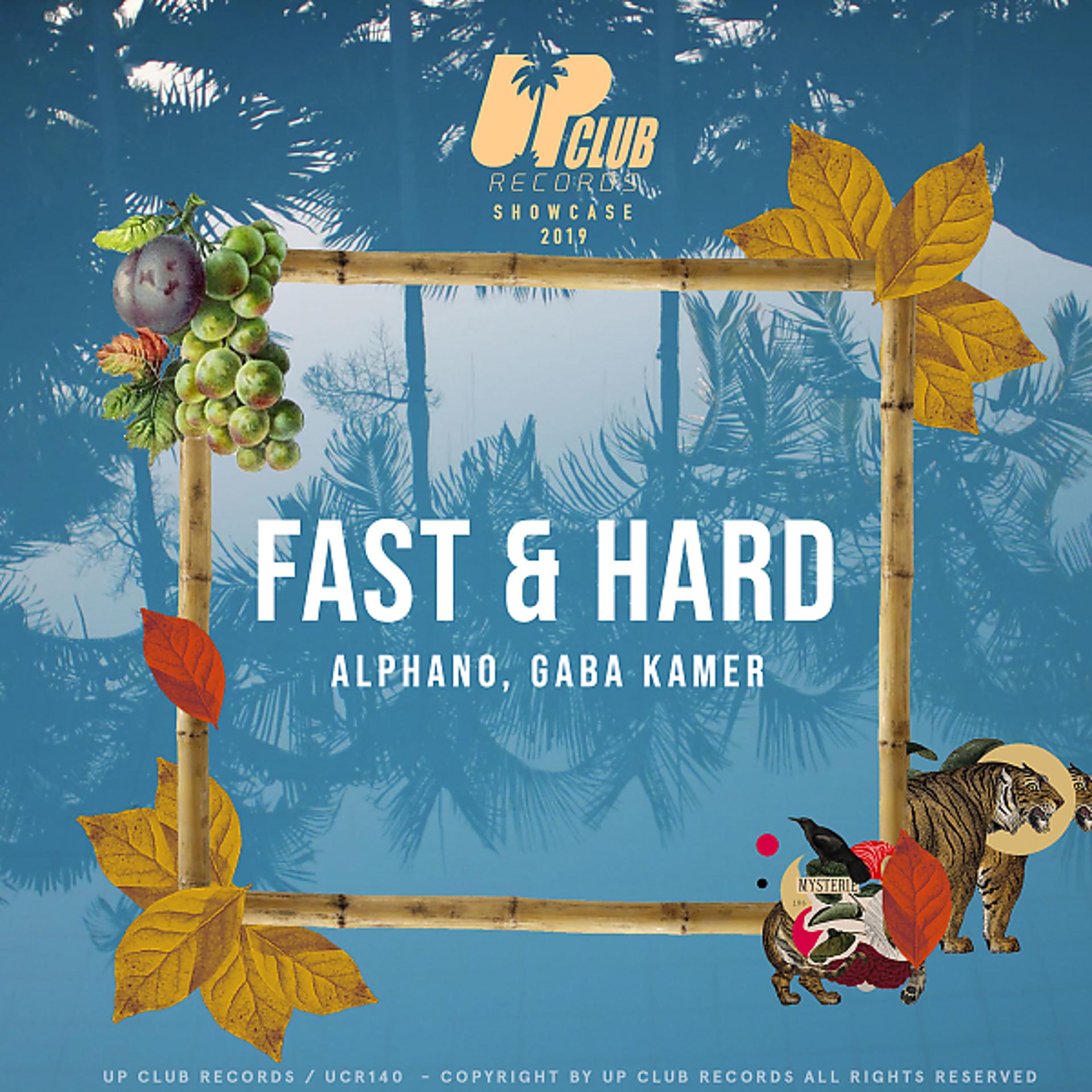 Постер альбома Fast & Hard