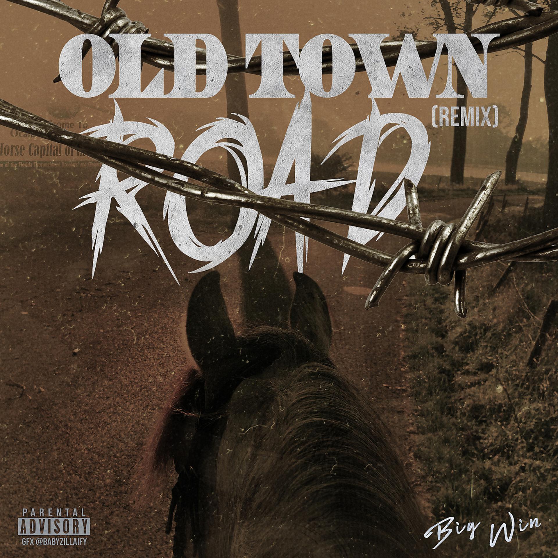 Постер альбома Old Town Road (Remix)