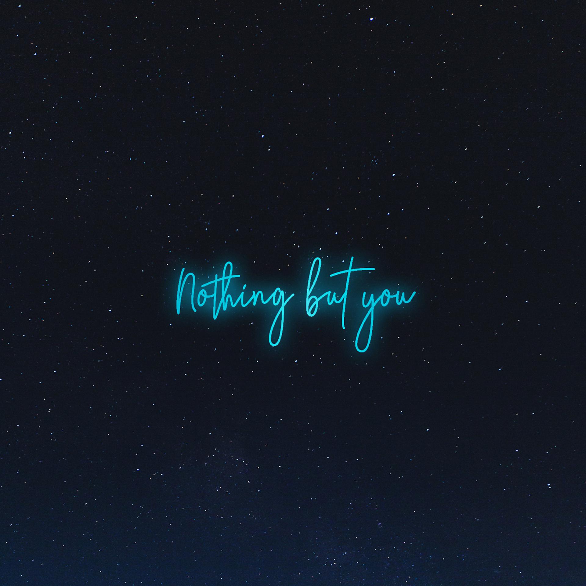 Постер альбома Nothing but You (feat. Seann Bowe)