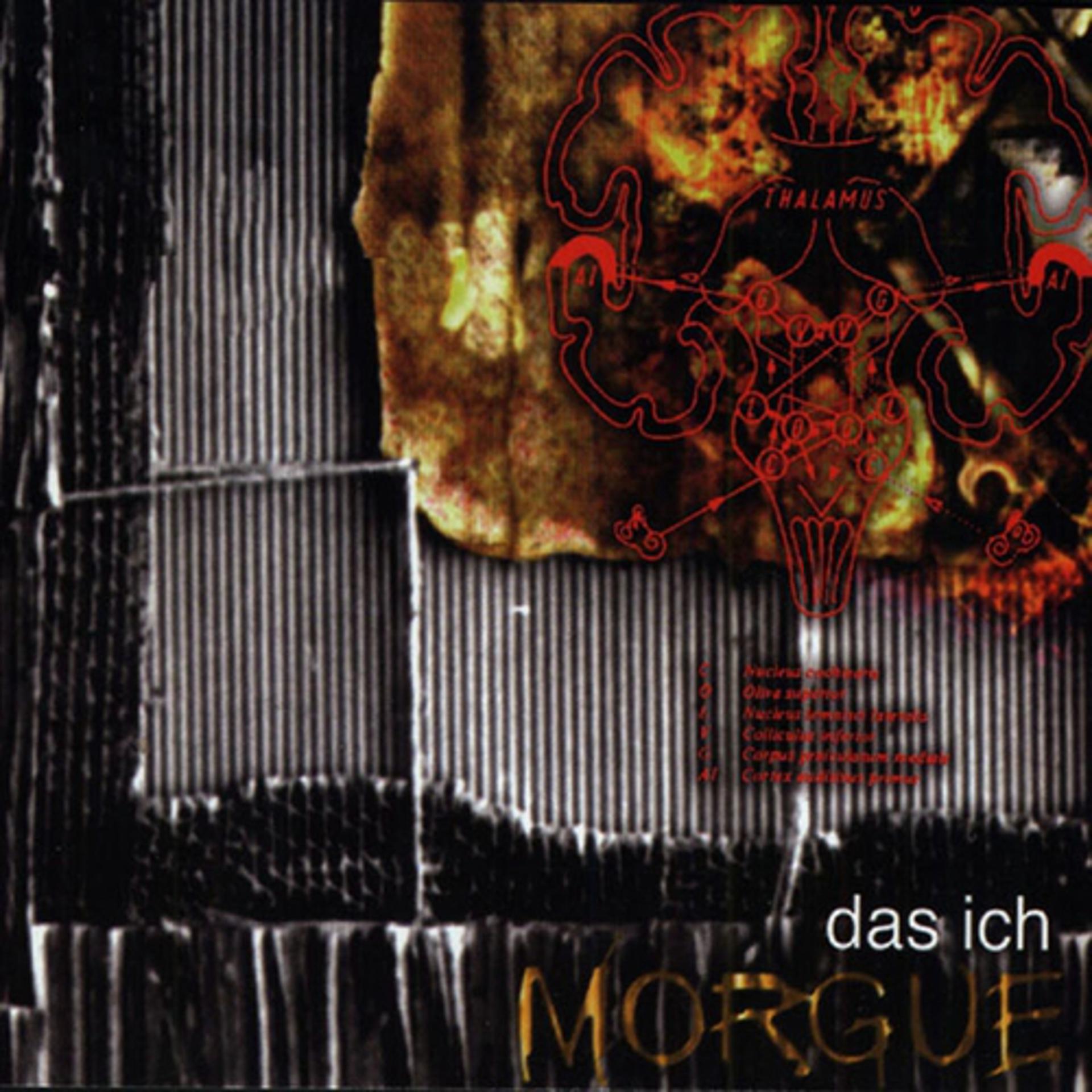Постер альбома Morgue