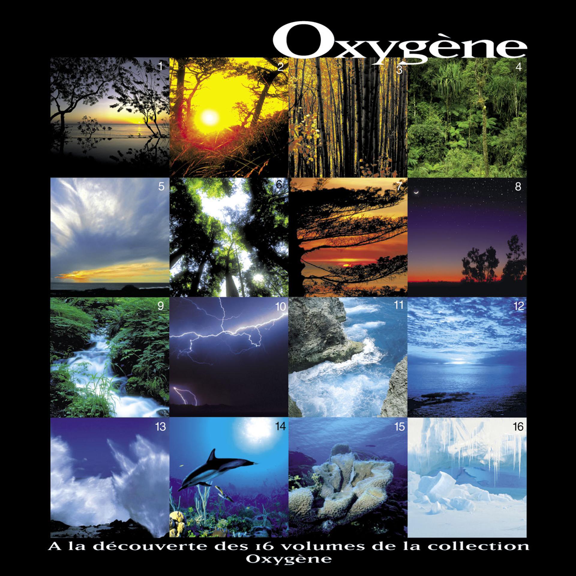 Постер альбома Oxygène - Oxygen