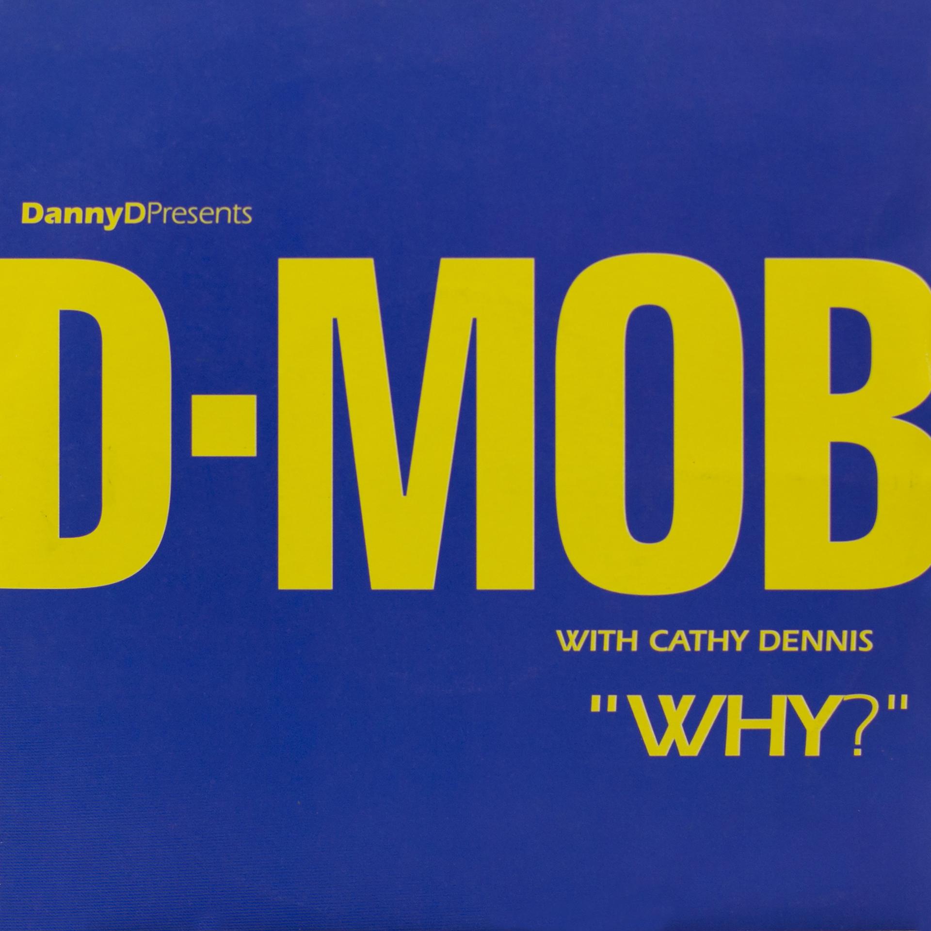 Постер альбома Why? (with Cathy Dennis)