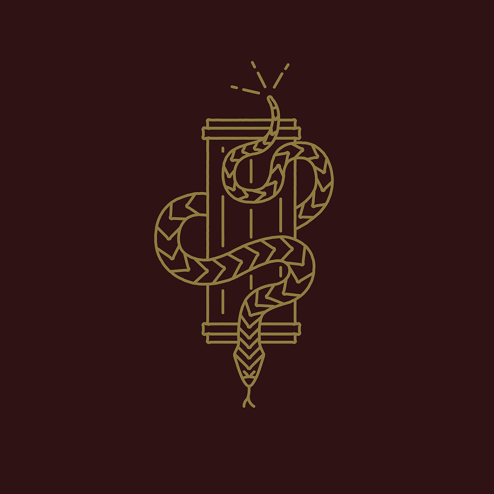 Постер альбома Pillars of Serpents (2019 Version)