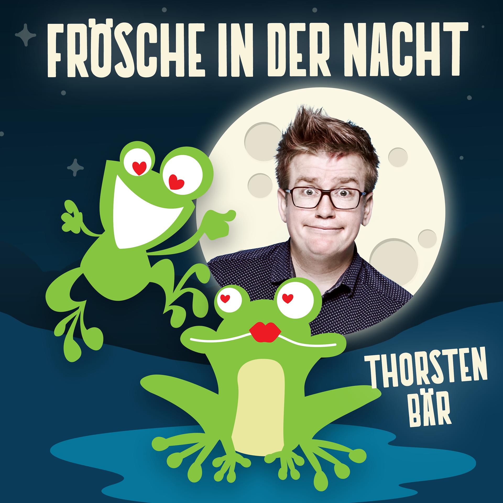 Постер альбома Frösche in der Nacht