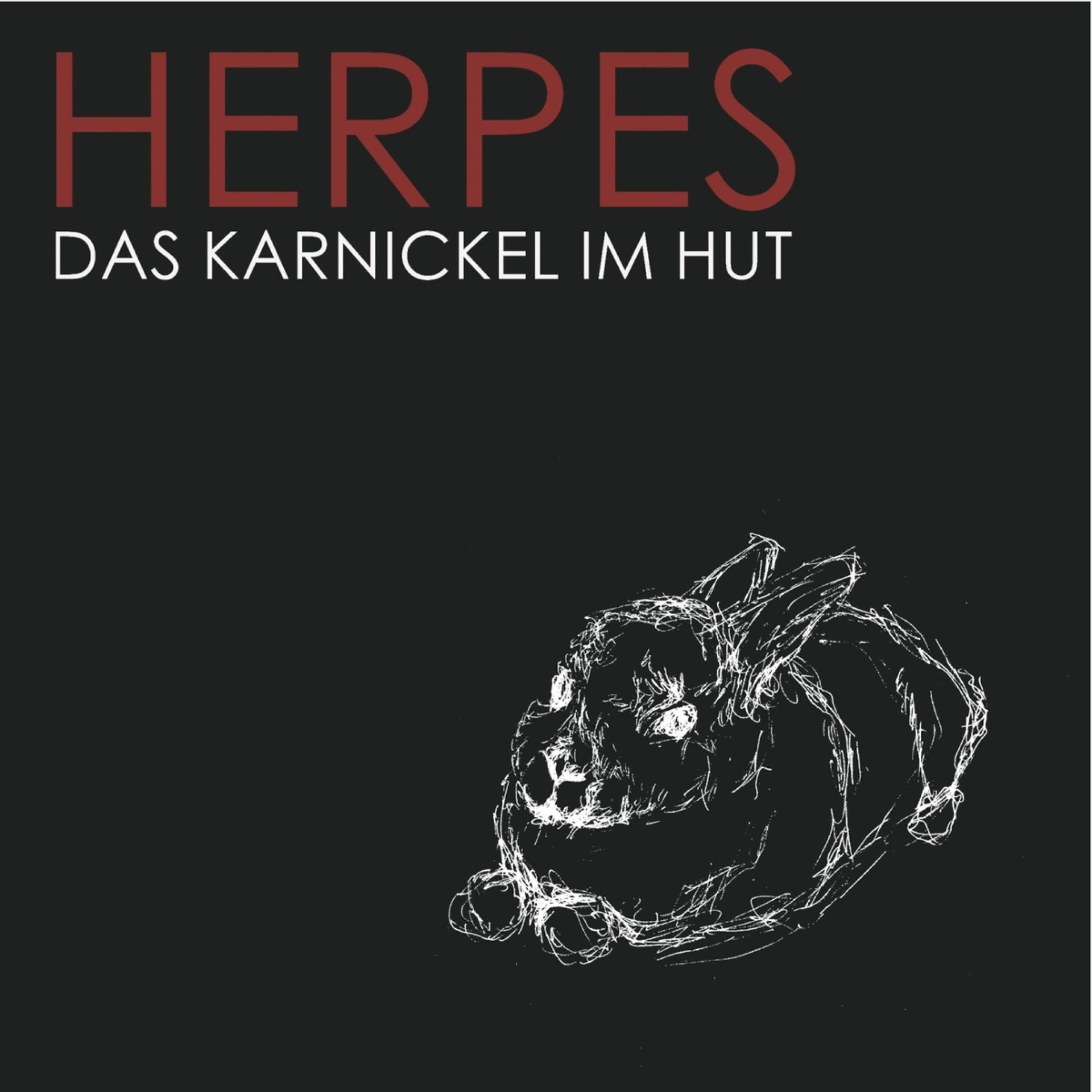 Постер альбома Das Karnickel im Hut