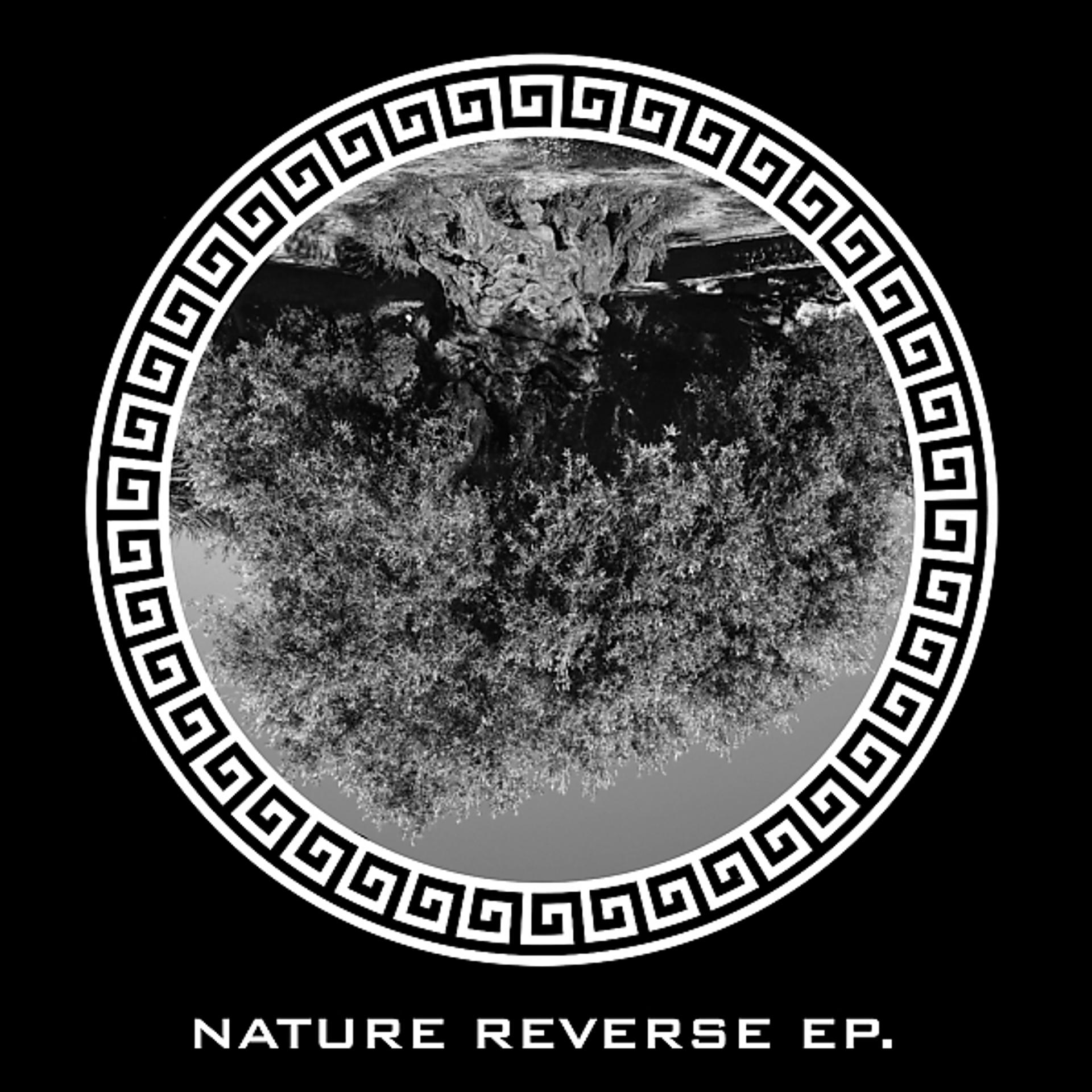 Постер альбома Nature Reverse