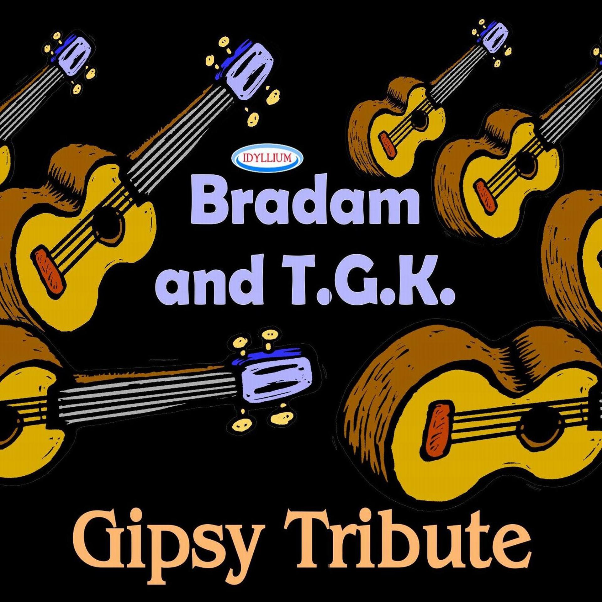 Постер альбома Gipsy Tribute