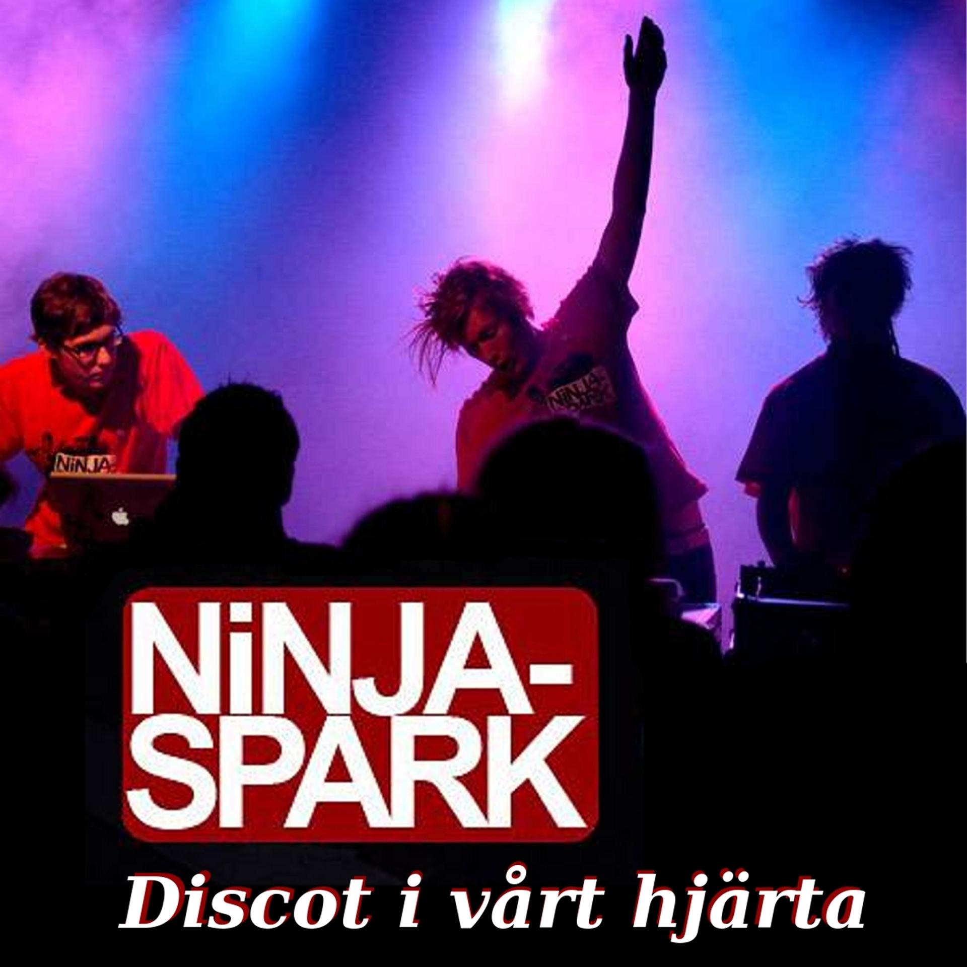 Постер альбома Discot I Vårt Hjärta