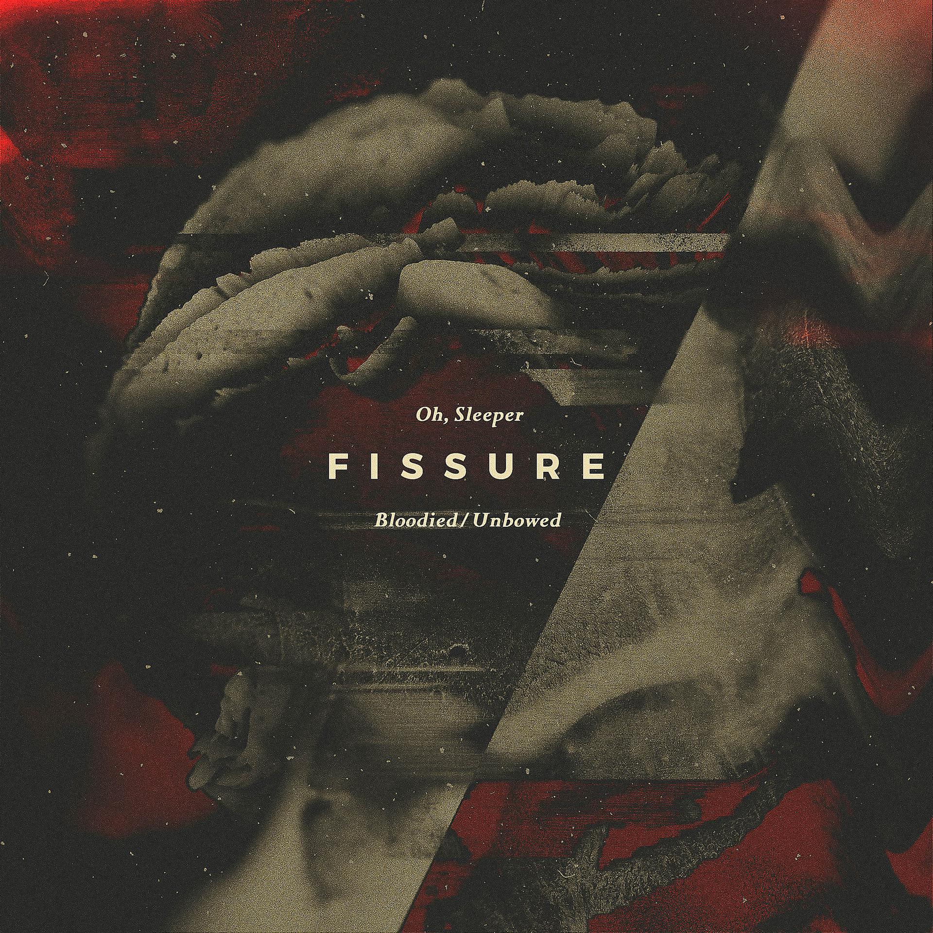 Постер альбома Fissure