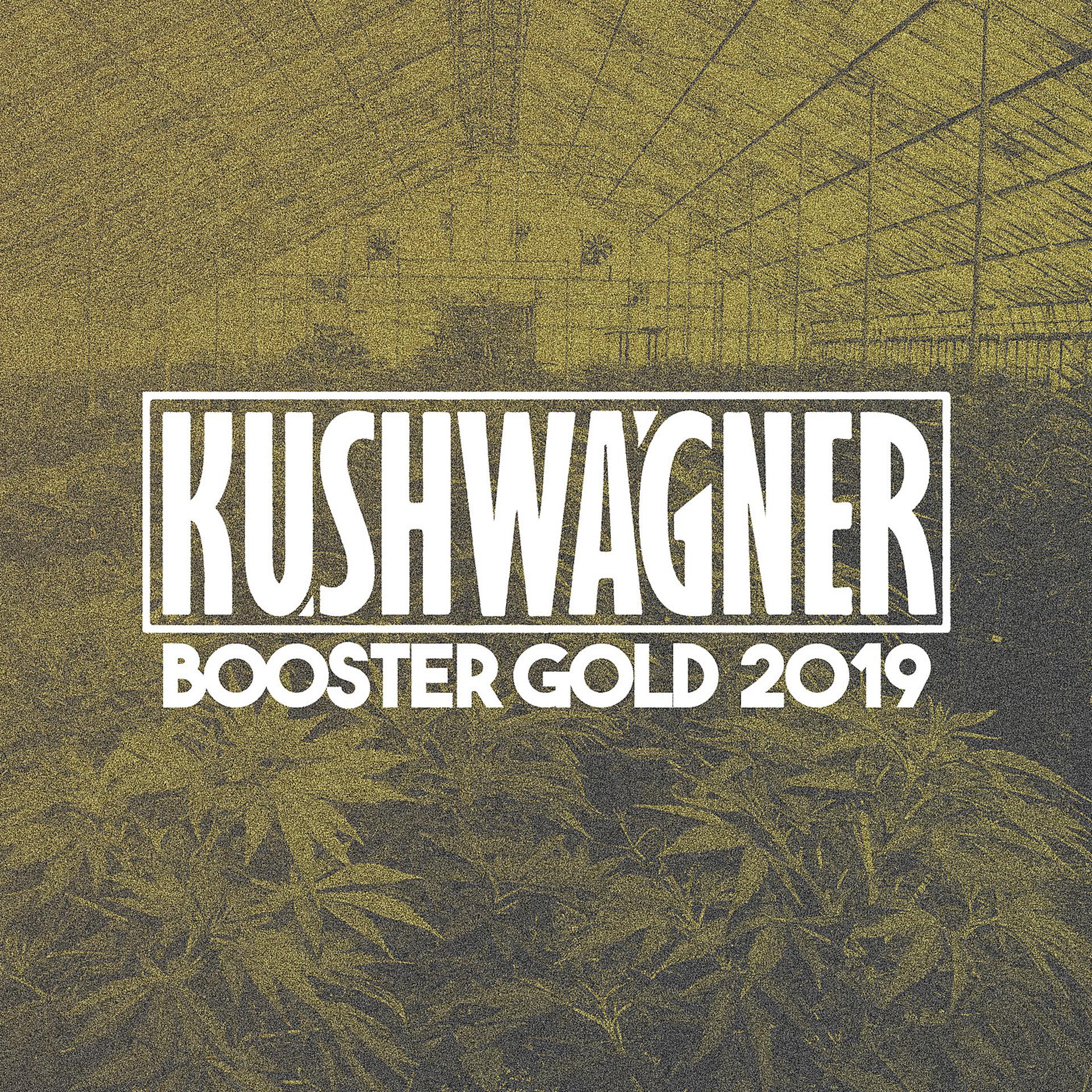 Постер альбома Booster Gold 2019