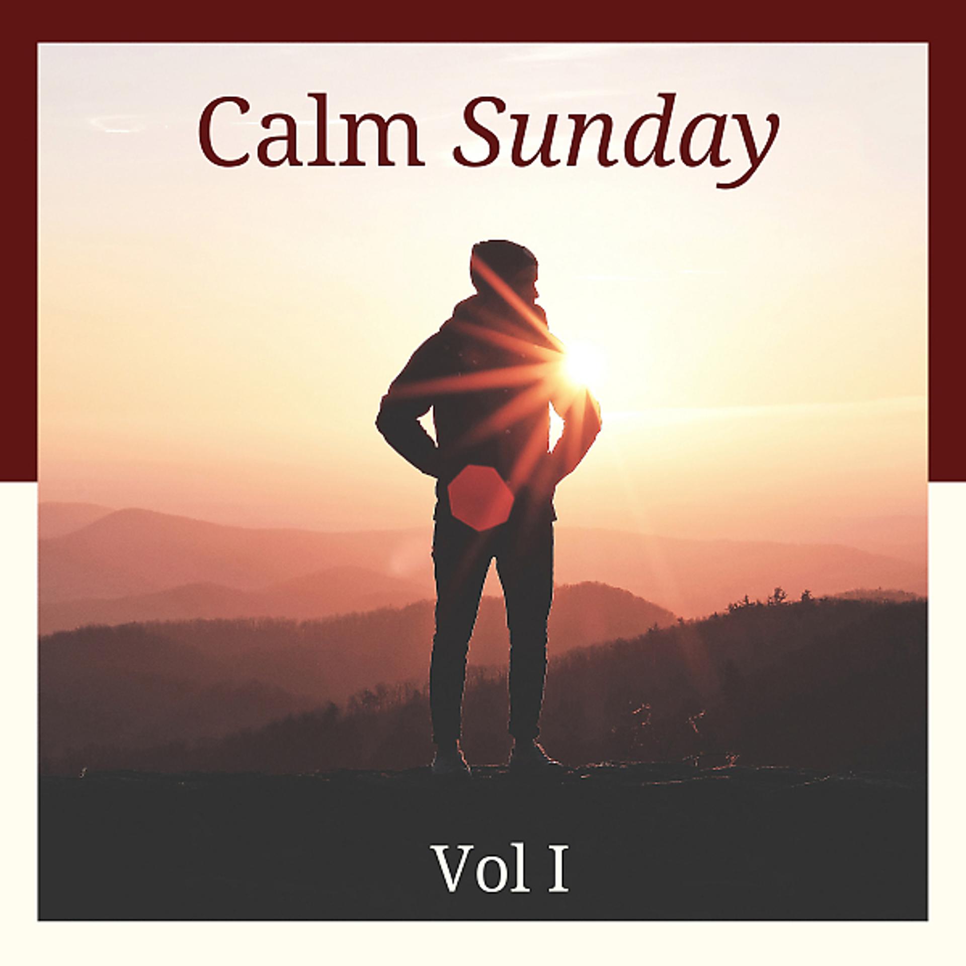 Постер альбома Calm Sunday Vol I