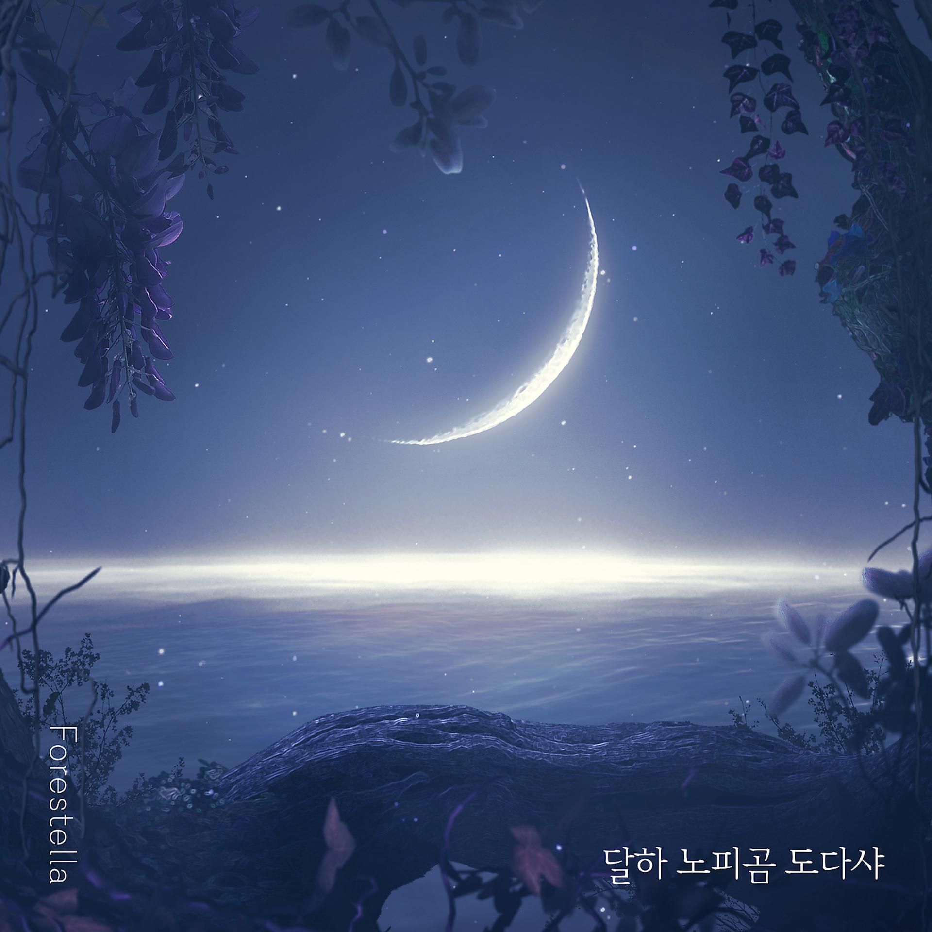 Постер альбома Dear Moon