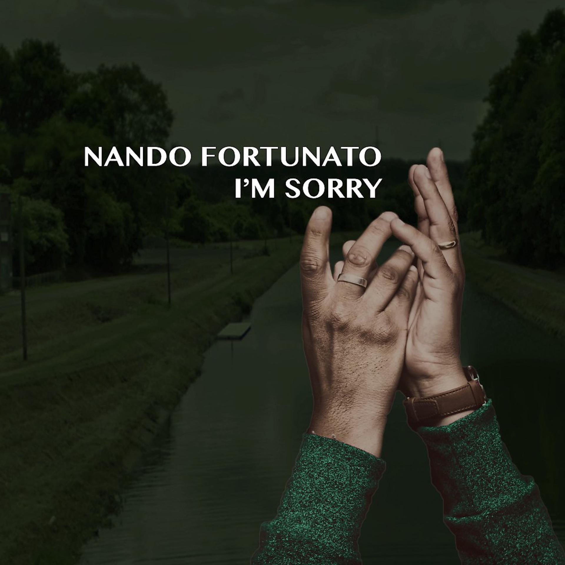 Постер альбома I'm Sorry (Extended Mix)