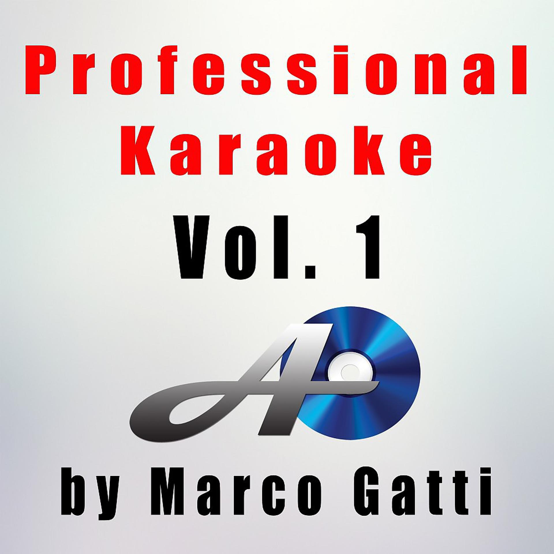 Постер альбома Professional Karaoke Vol. 1