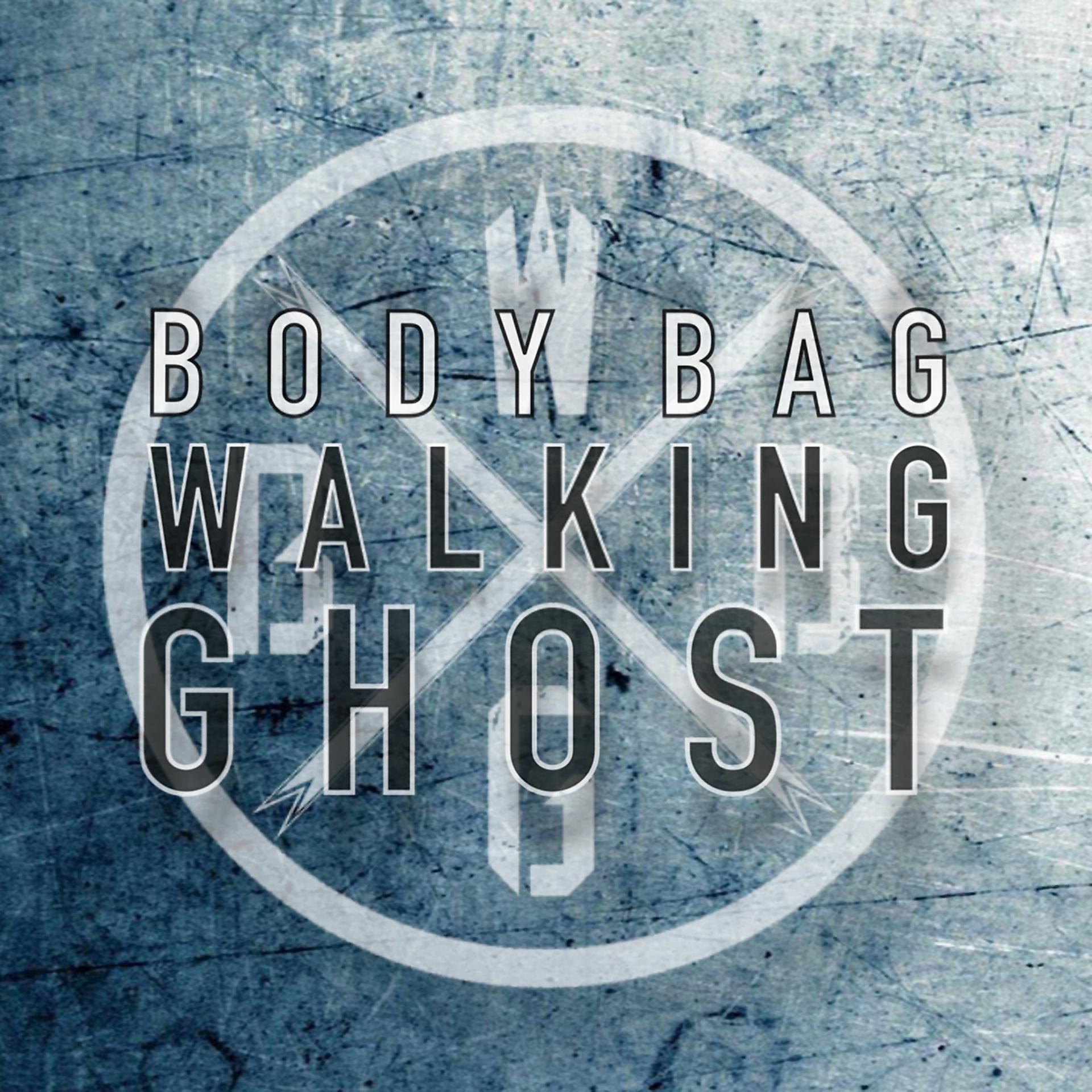 Постер альбома Walking Ghost