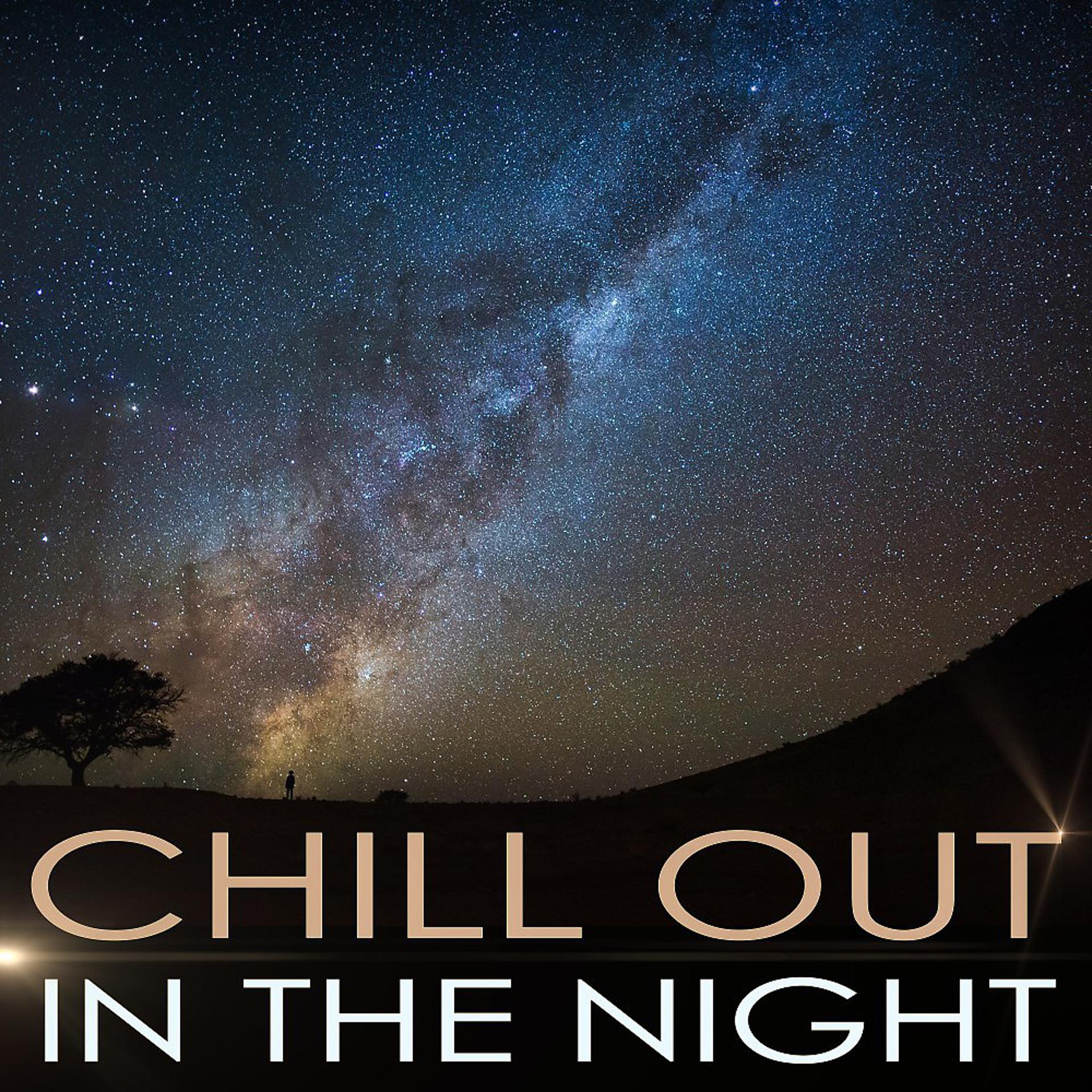Постер альбома Chill out in the Night