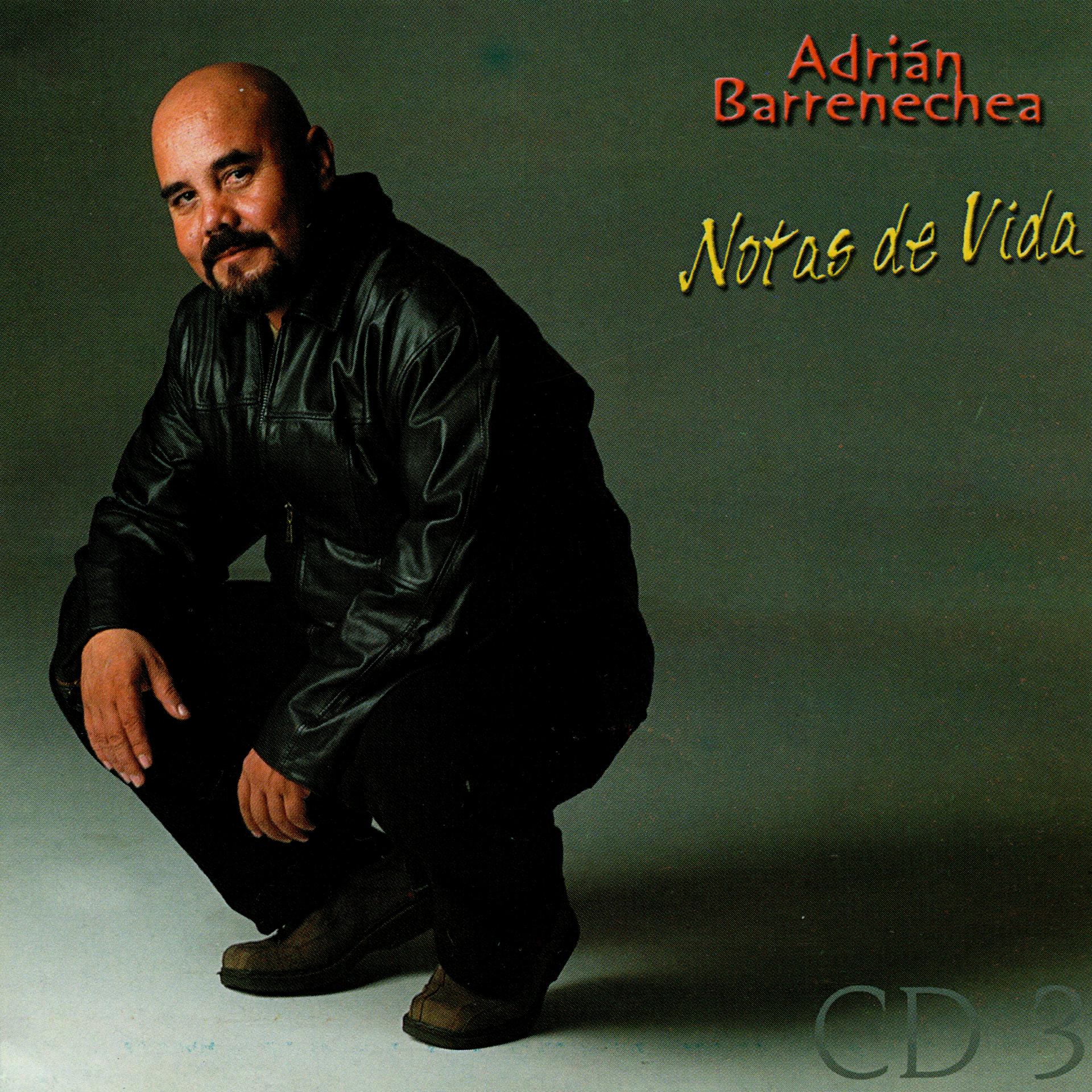 Постер альбома Notas de Vida Vol. 3