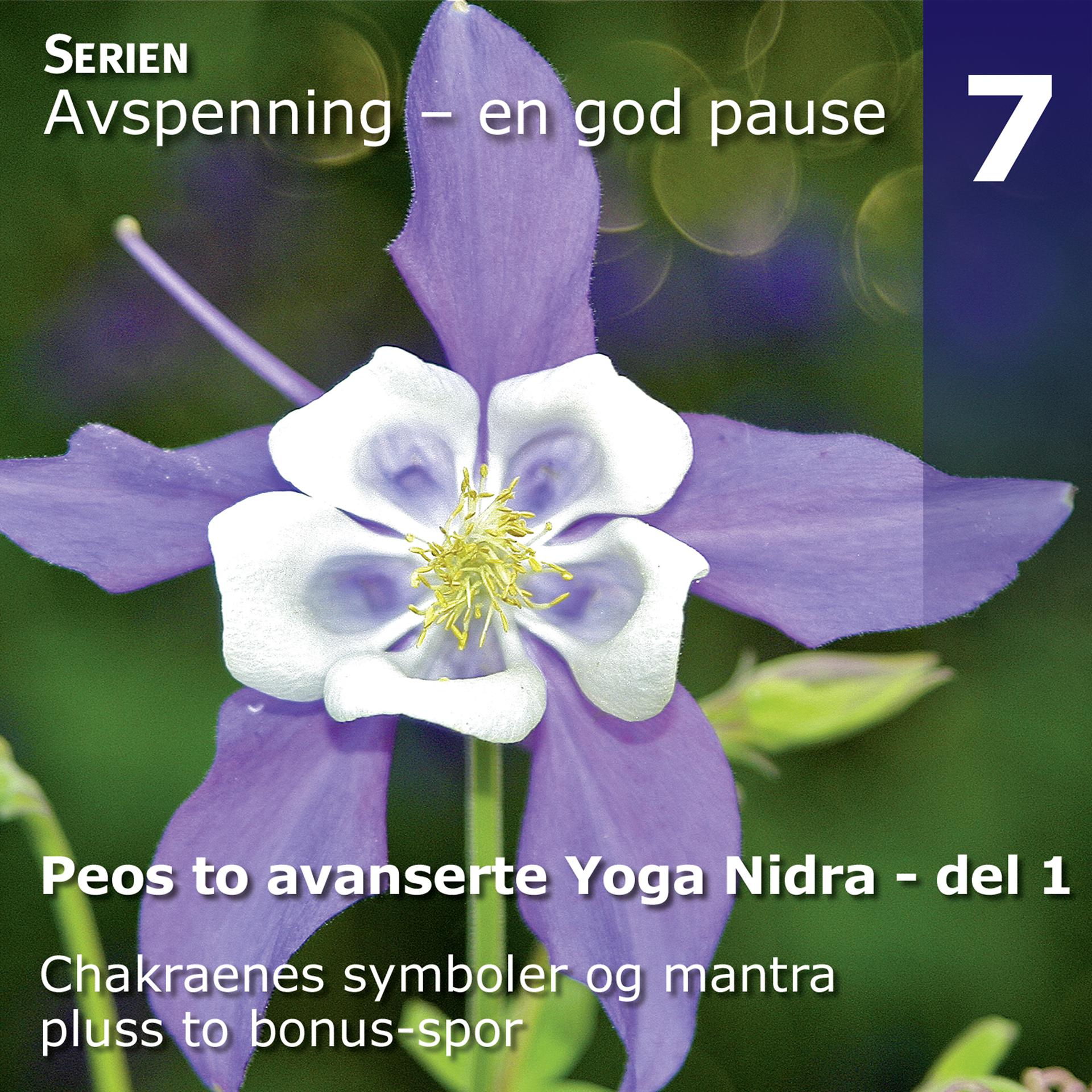 Постер альбома Peos to Avanserte Yoga Nidra Avspenninger, Del 1