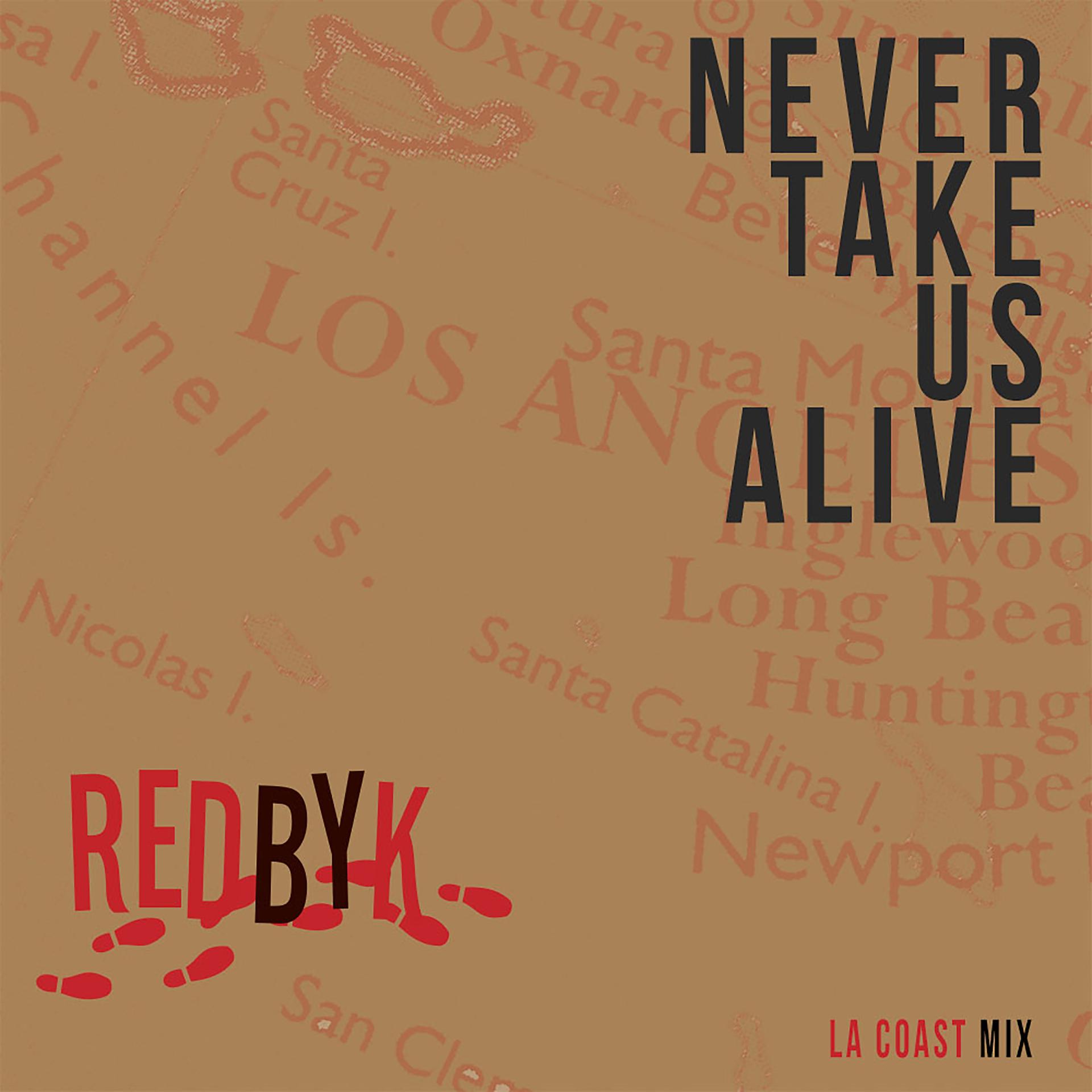 Постер альбома Never Take Us Alive