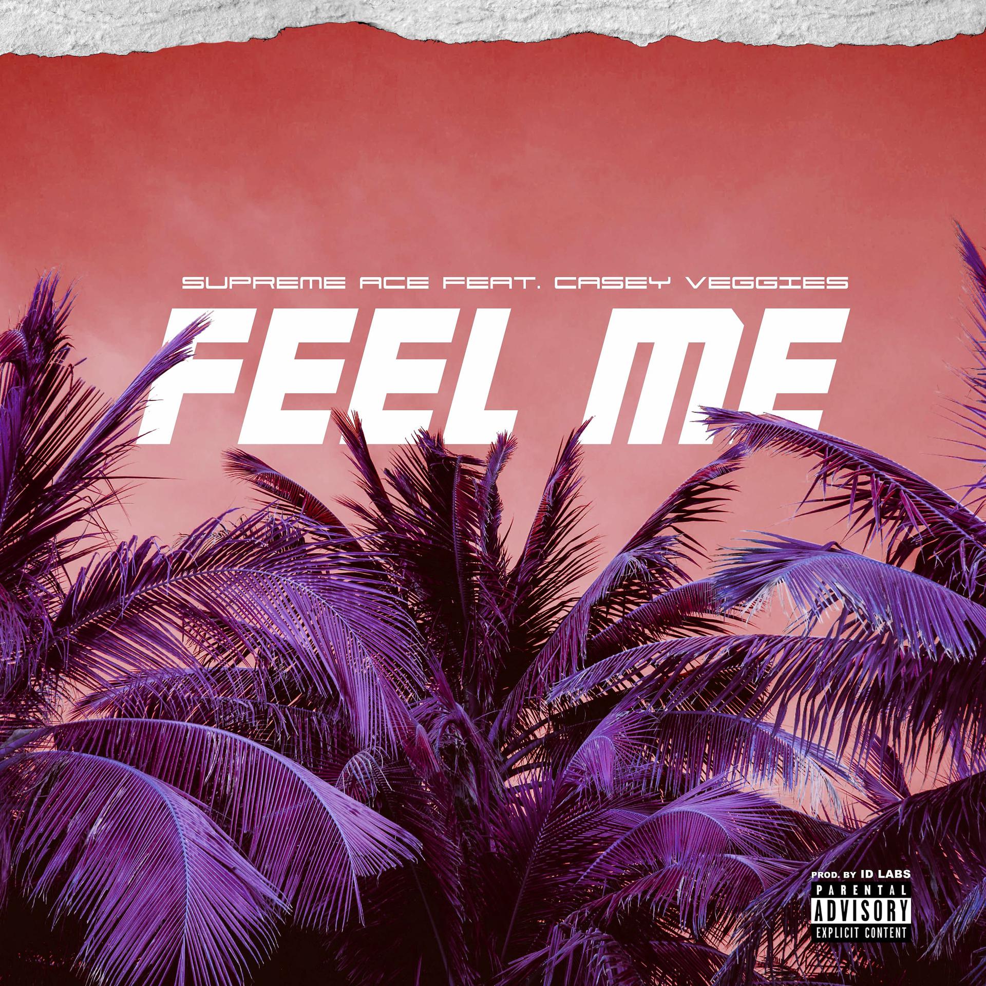 Постер альбома Feel Me (feat. Casey Veggies)