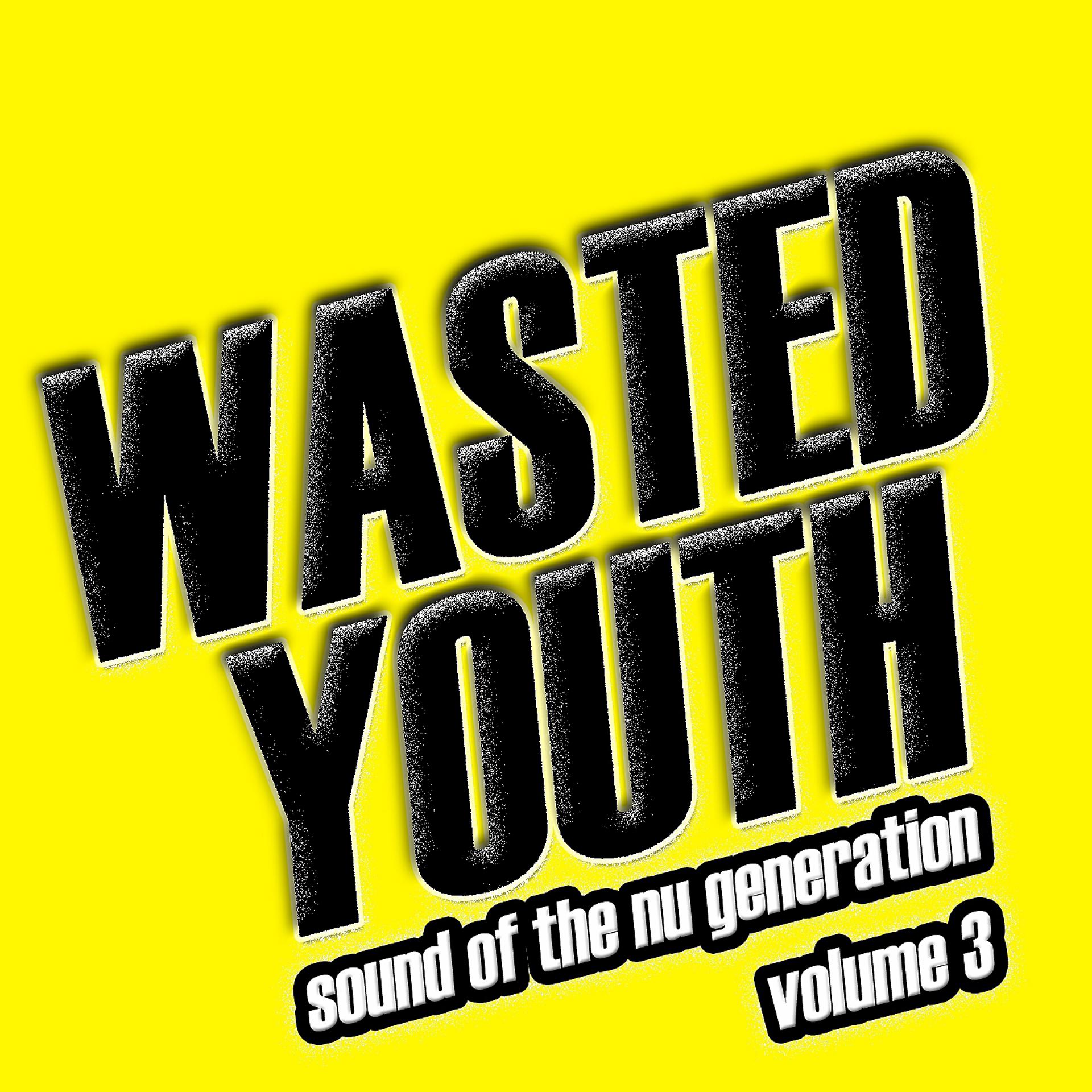 Постер альбома Wasted Youth, Vol. 3
