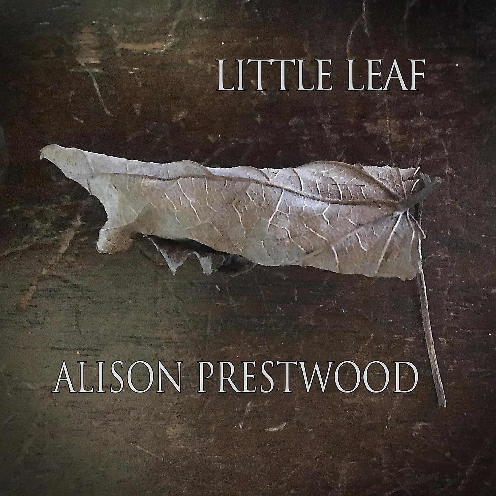 Постер альбома Little Leaf