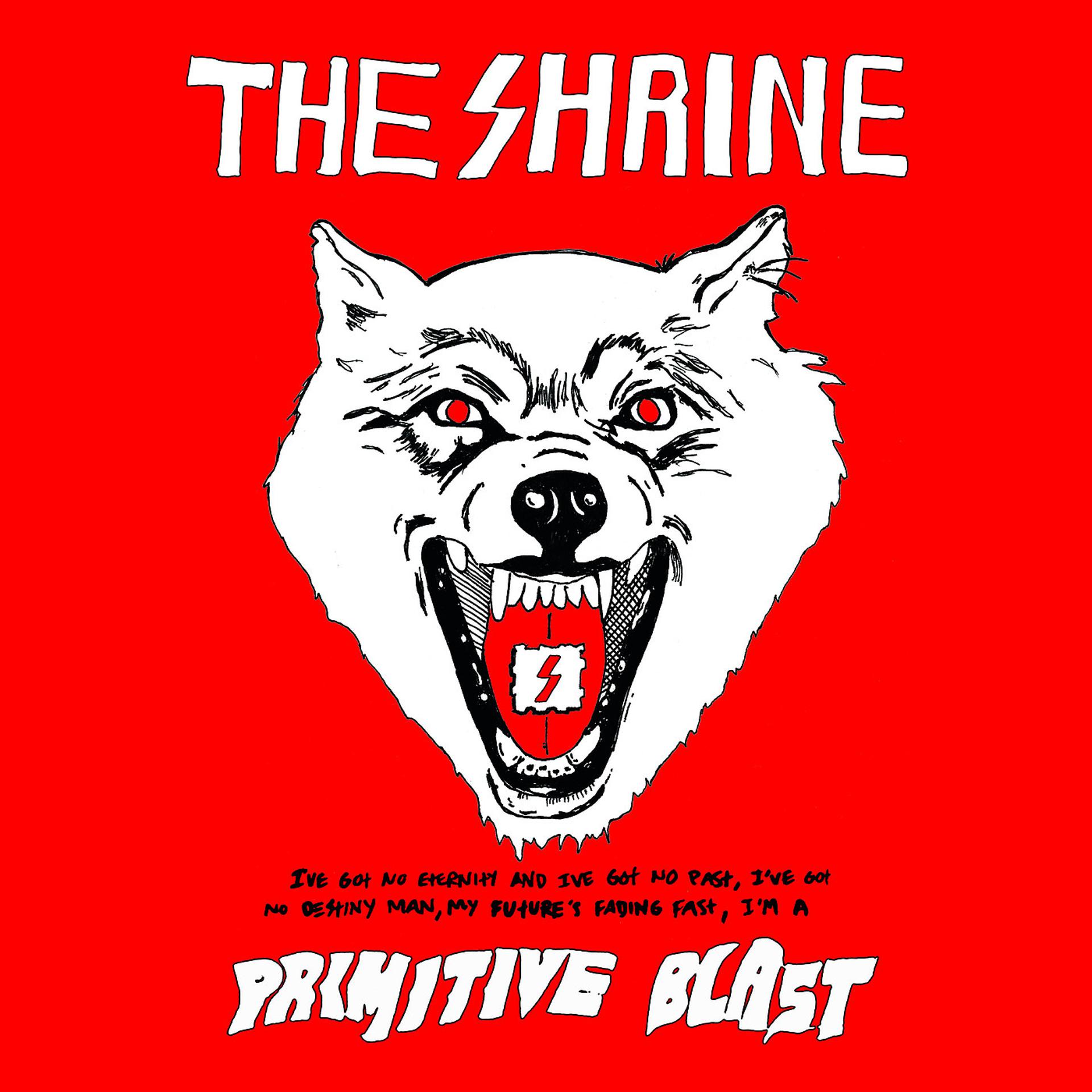 Постер альбома Primitive Blast