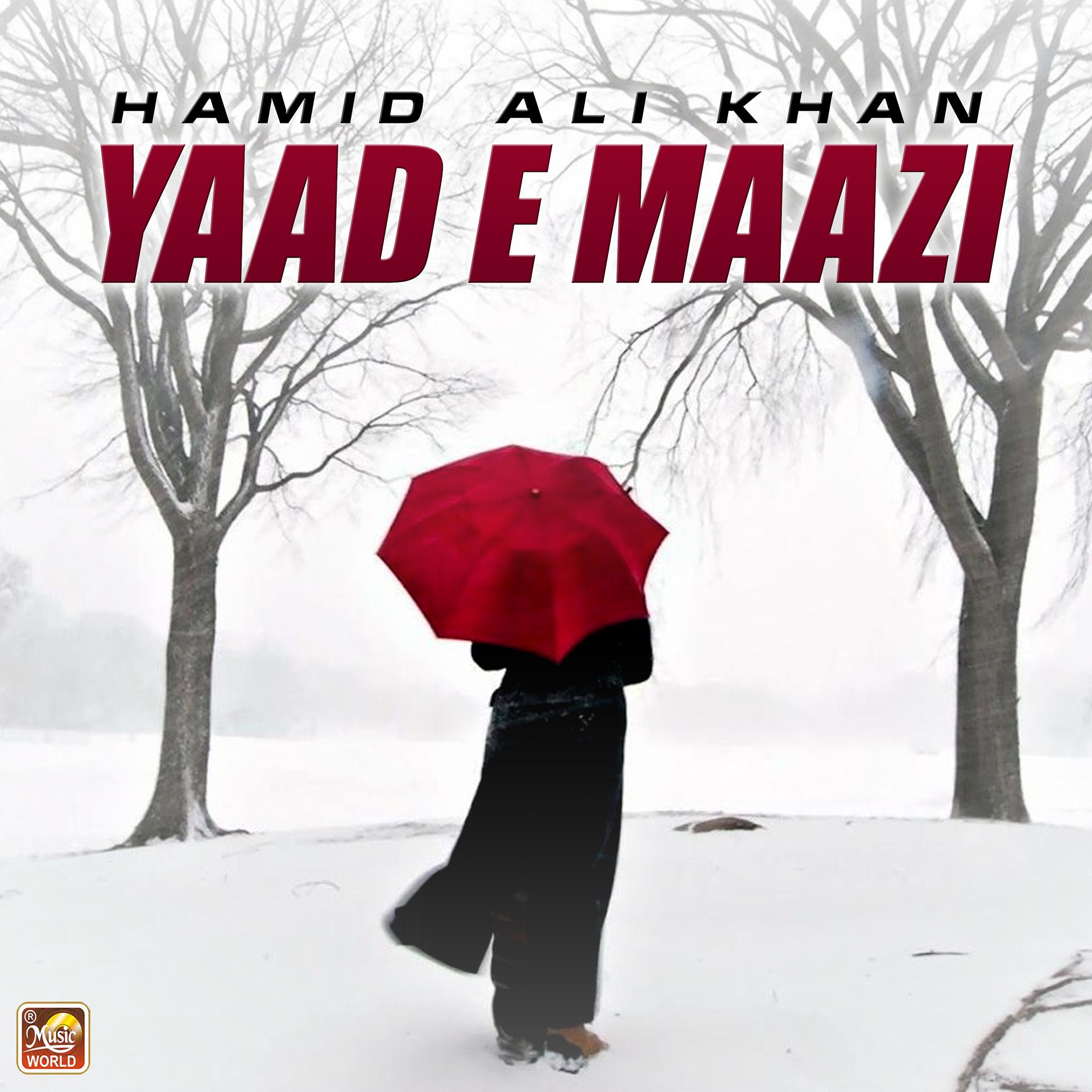Постер альбома Yaad E Maazi - Single