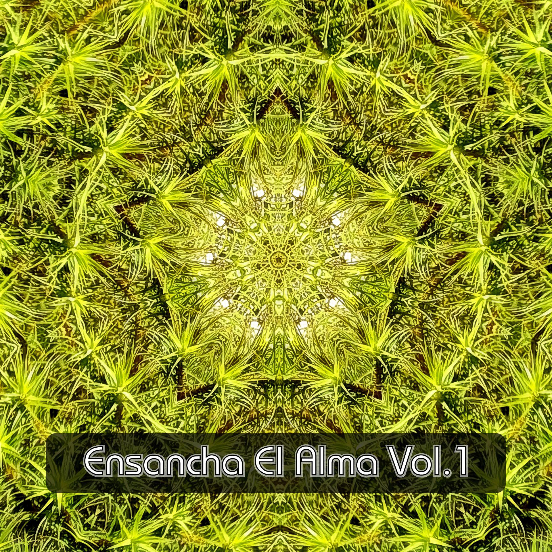 Постер альбома Ensancha el Alma Vol. 1