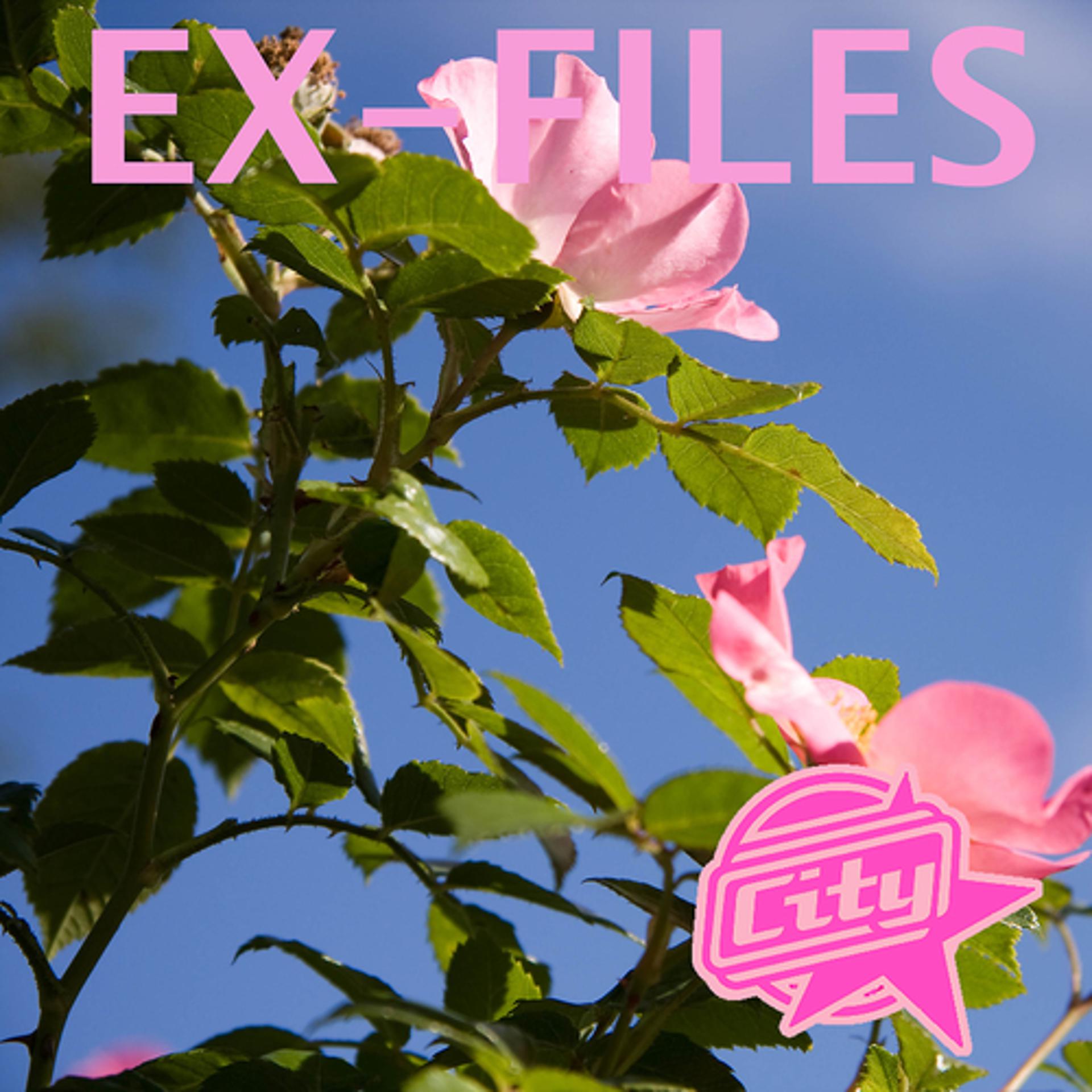 Постер альбома Ex-Files