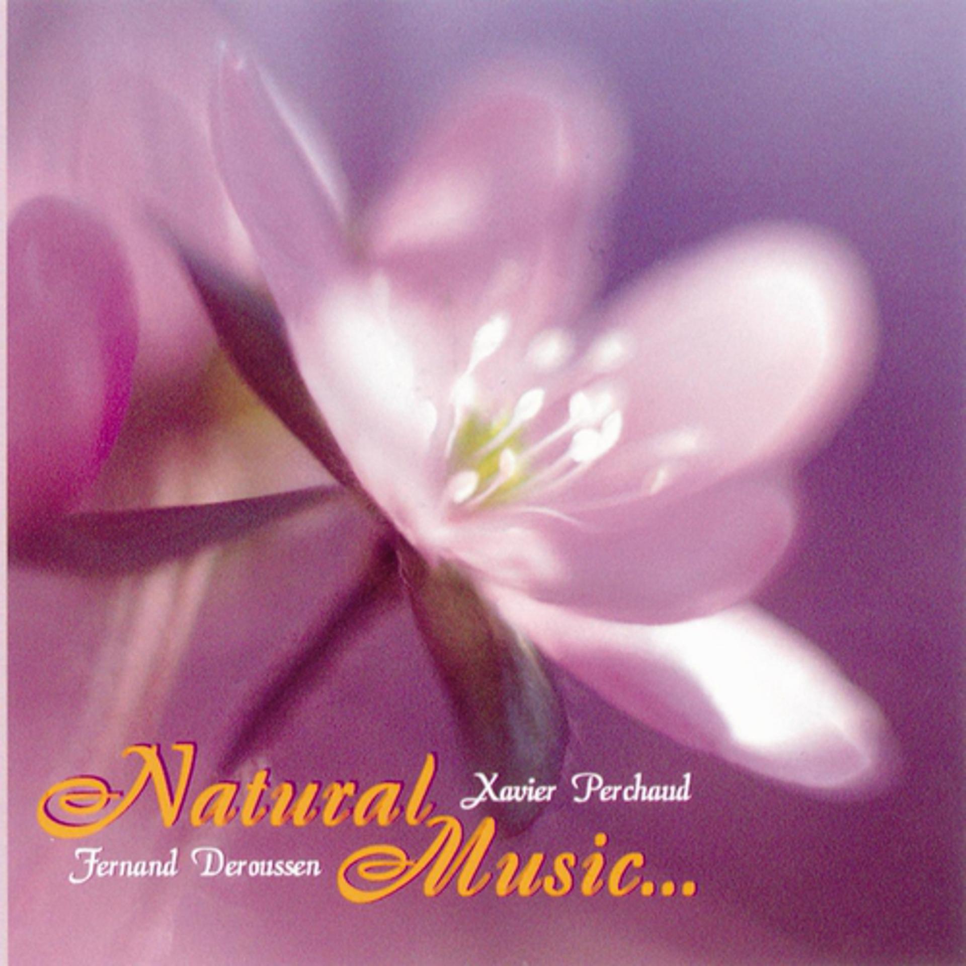 Постер альбома Natural Music