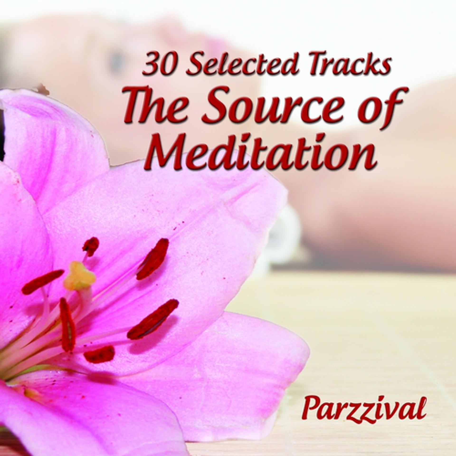 Постер альбома 30 Selected Tracks : The Source of Meditation