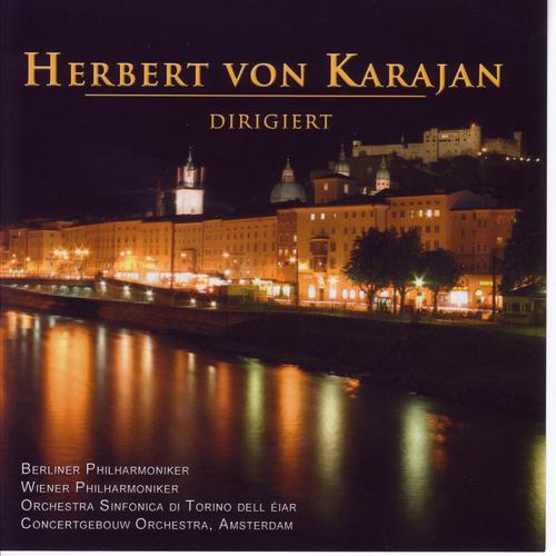Постер альбома Herbert von Karajan dirigiert