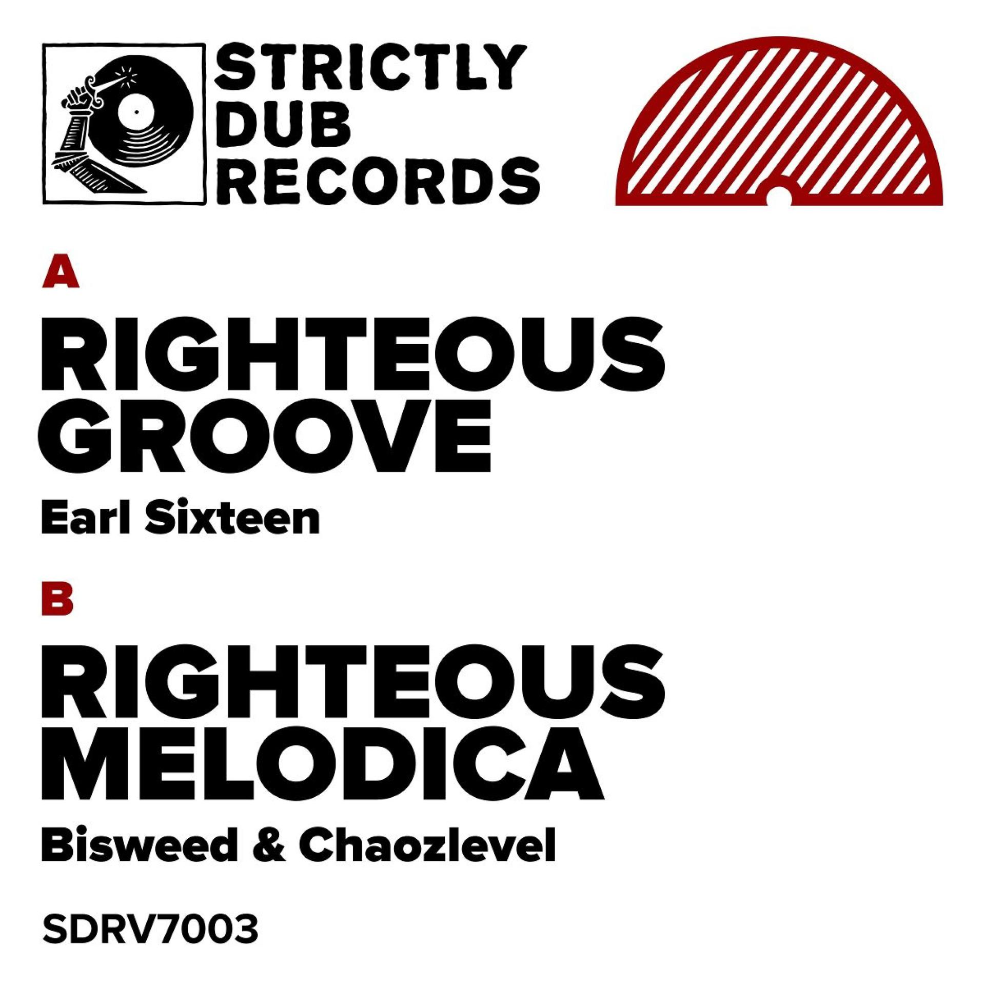 Постер альбома Righteous Groove / Righteous Melodica