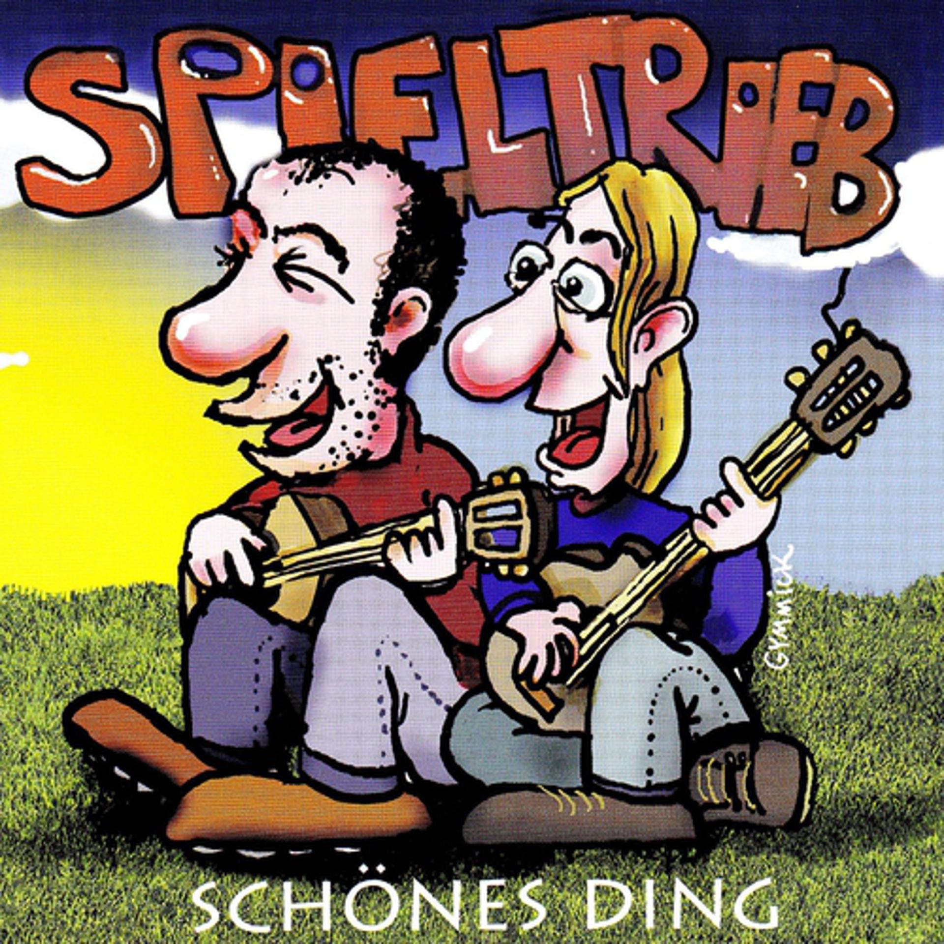 Постер альбома Schönes Ding